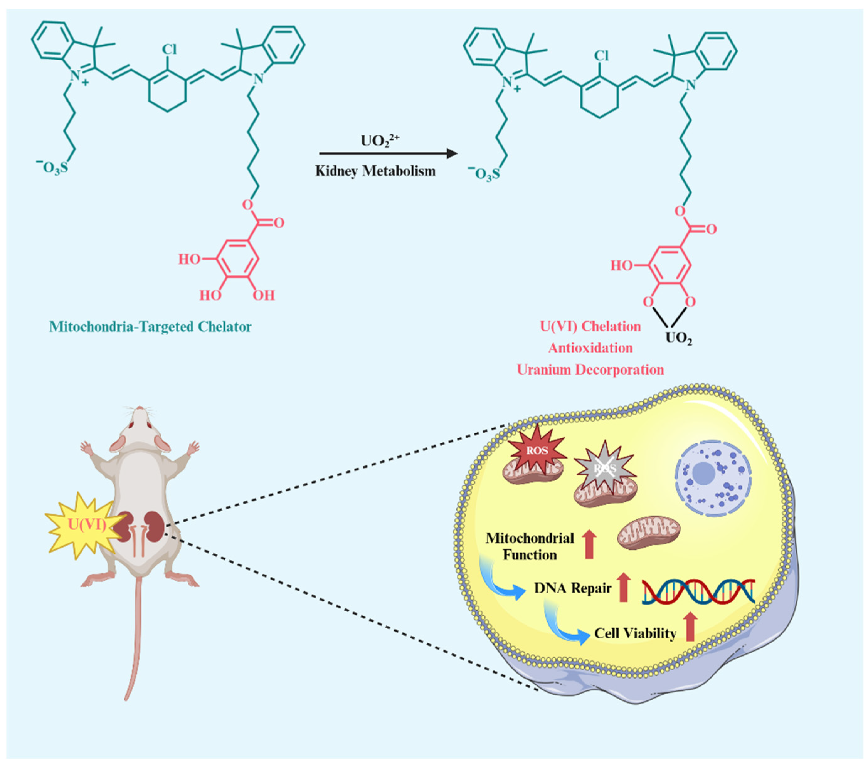 Pharmaceuticals 17 00995 sch001