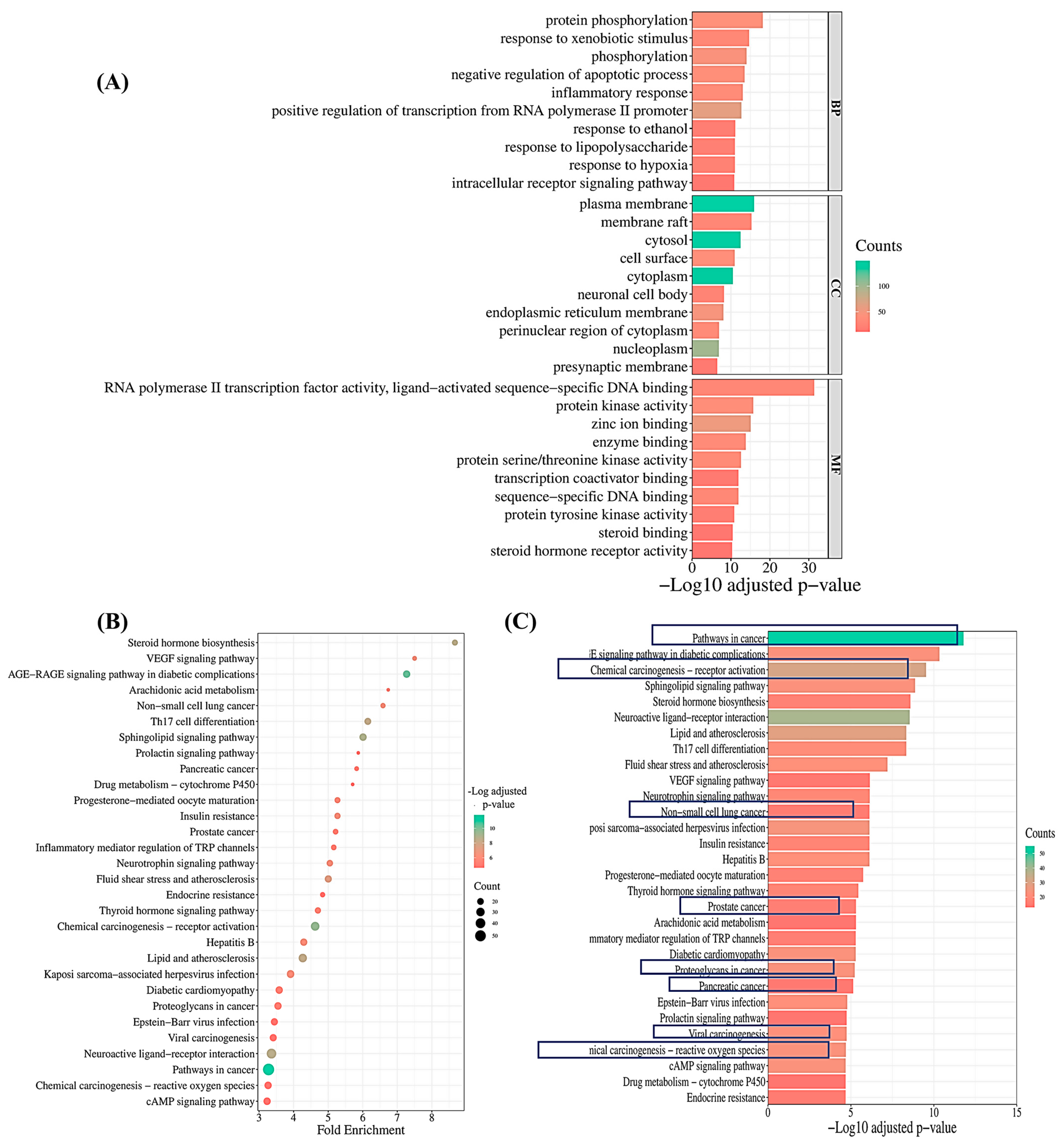 Pharmaceuticals 17 01019 g005