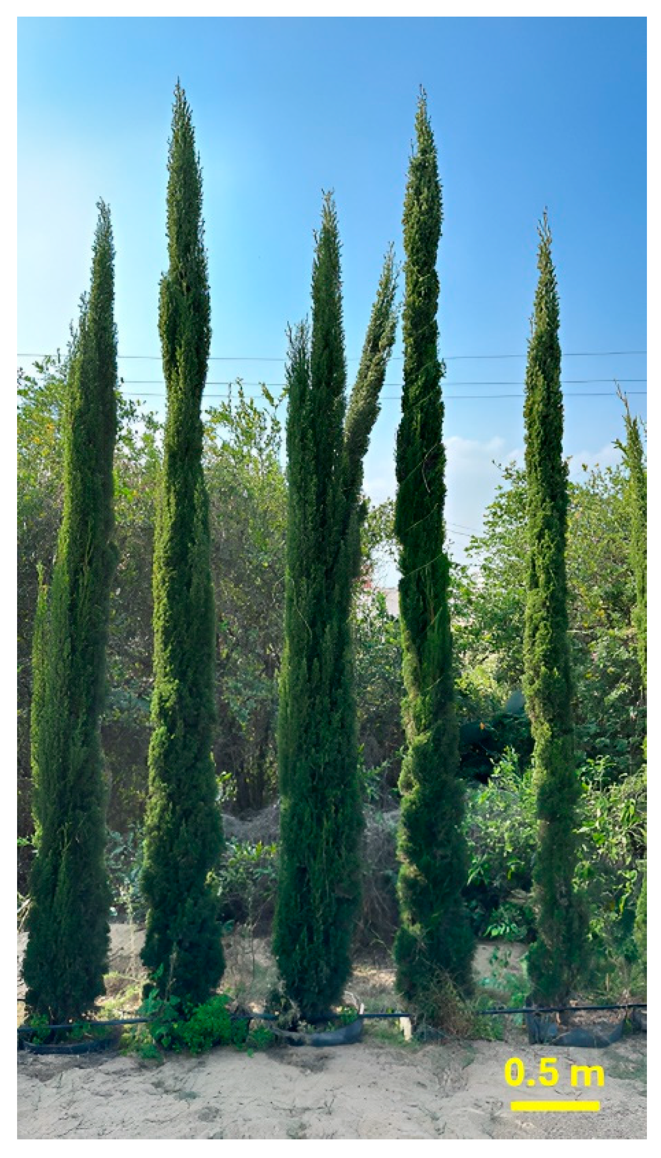 Pharmaceuticals 17 01019 g009