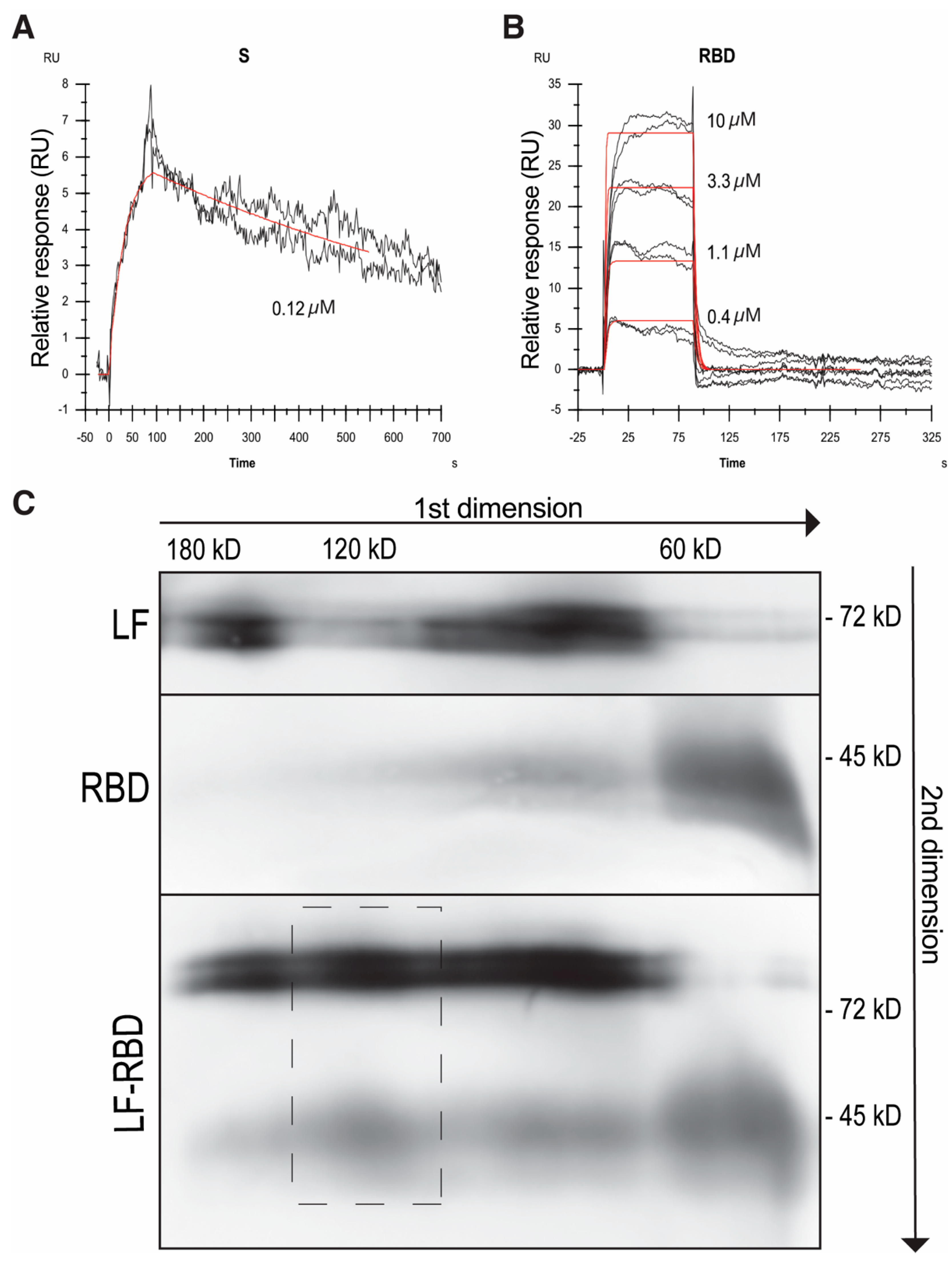 Pharmaceuticals 17 01021 g003