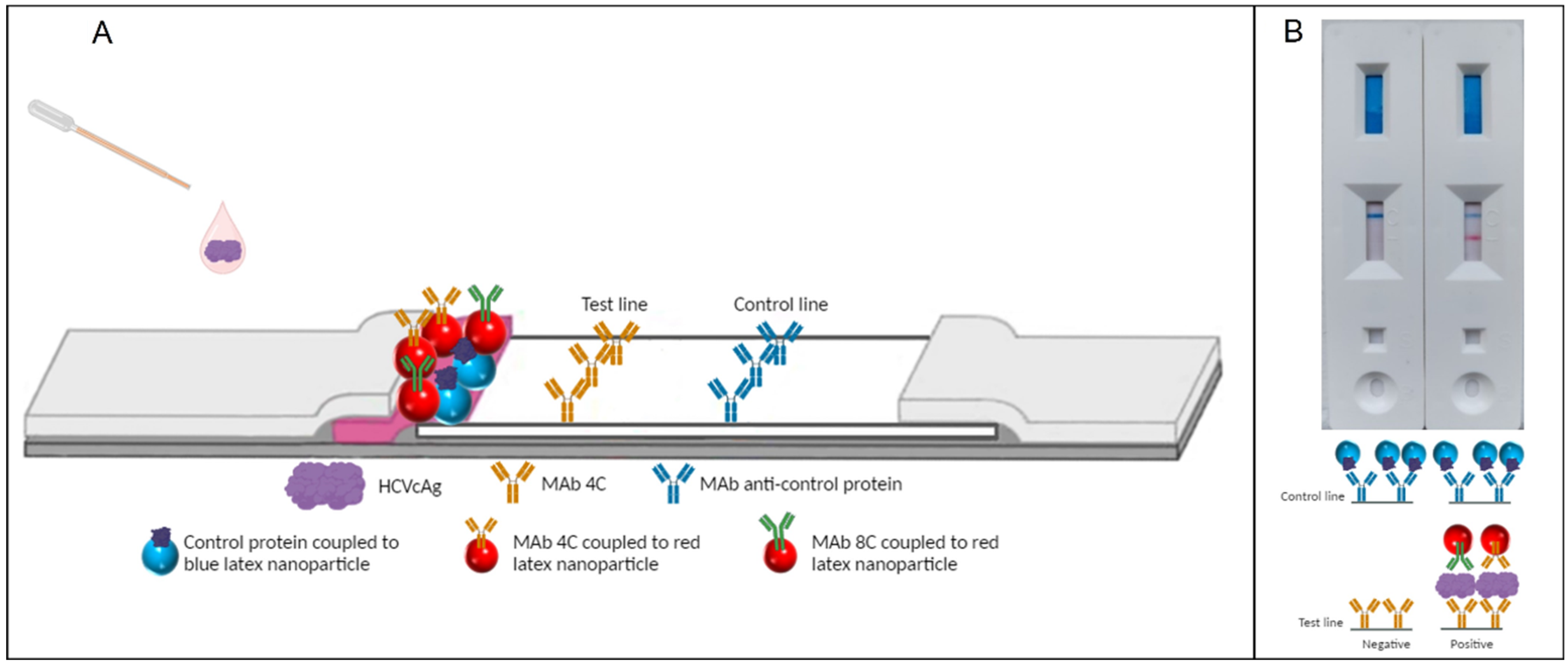 Pharmaceuticals 17 01022 g001
