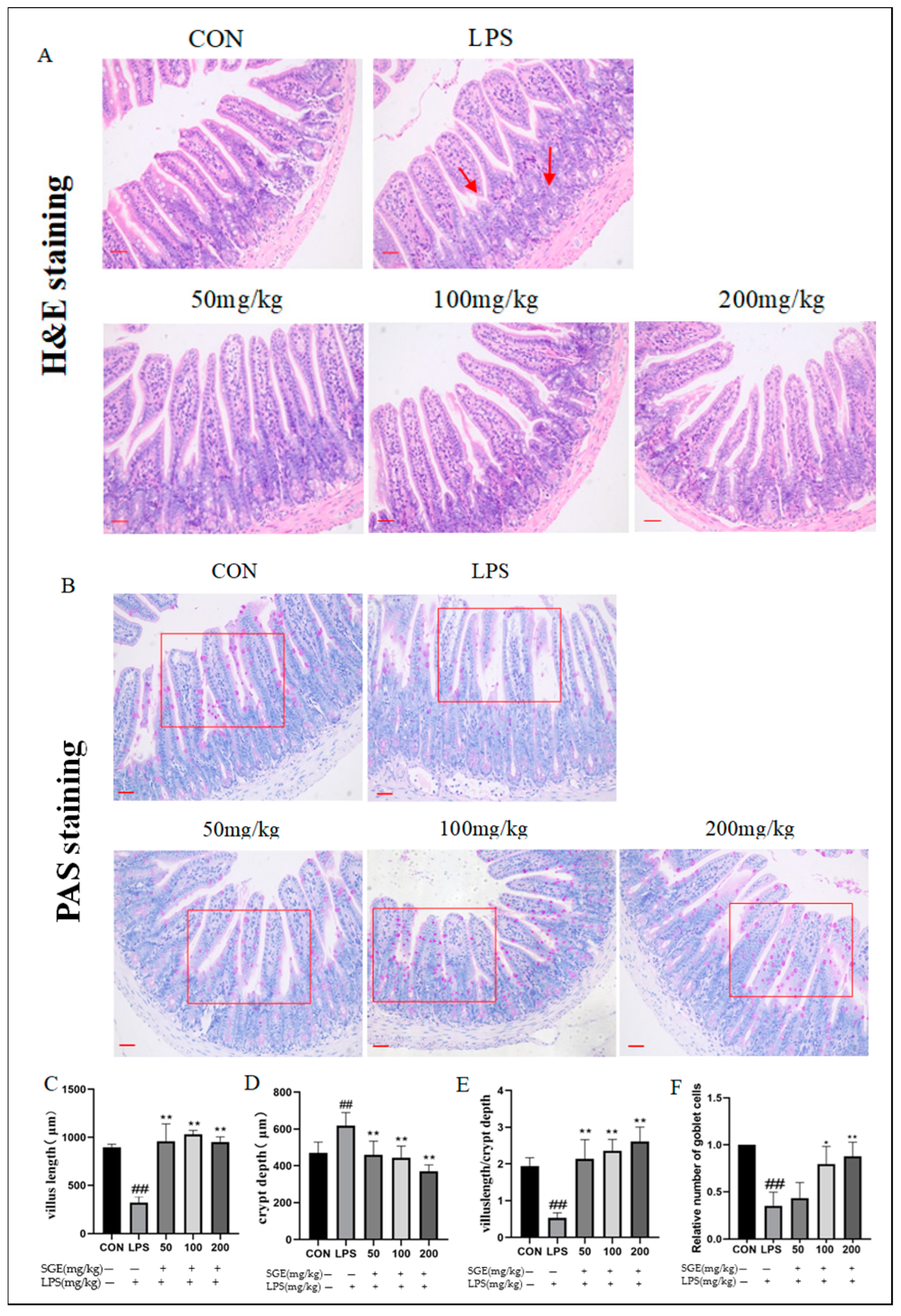 Pharmaceuticals 17 01023 g003