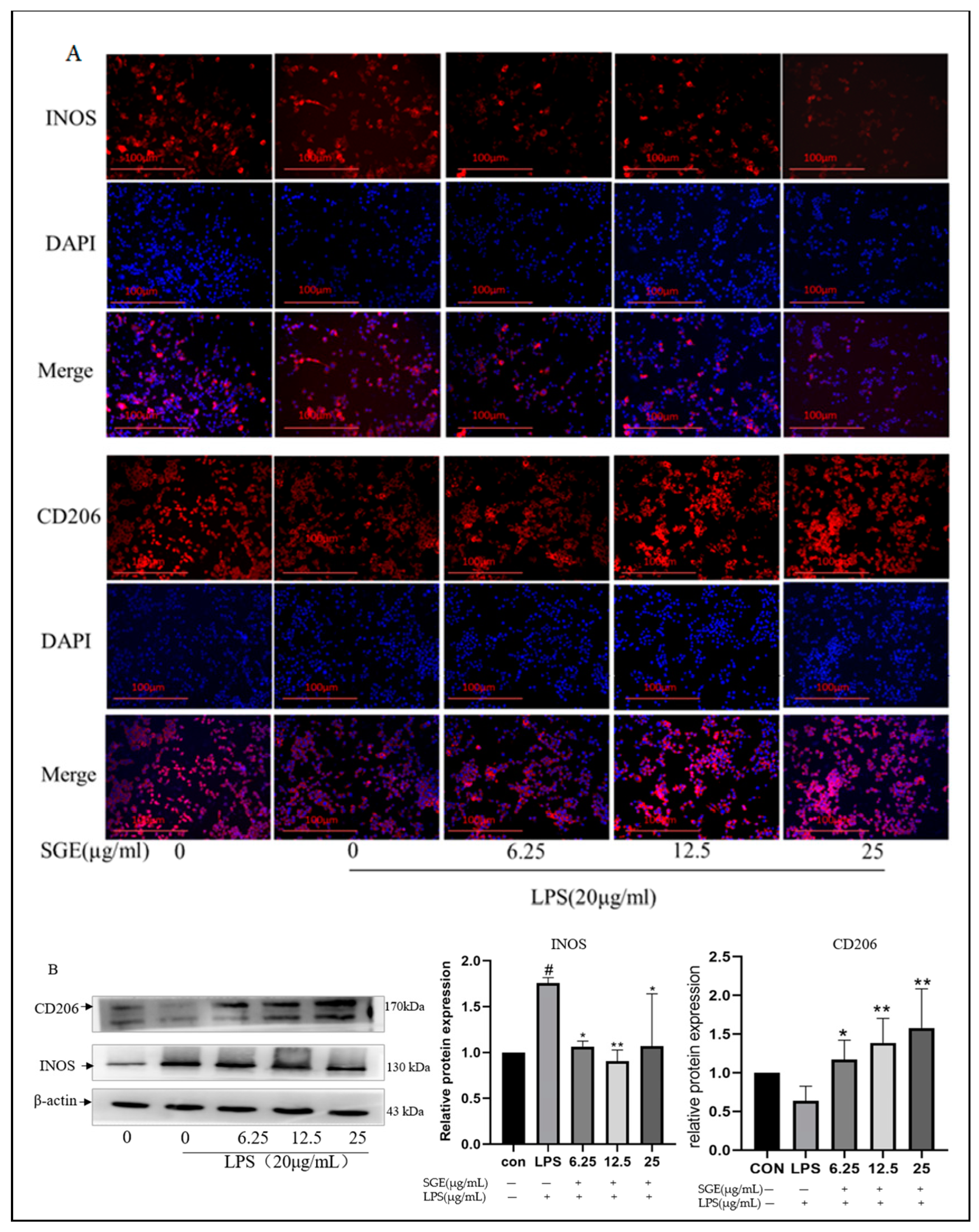 Pharmaceuticals 17 01023 g009