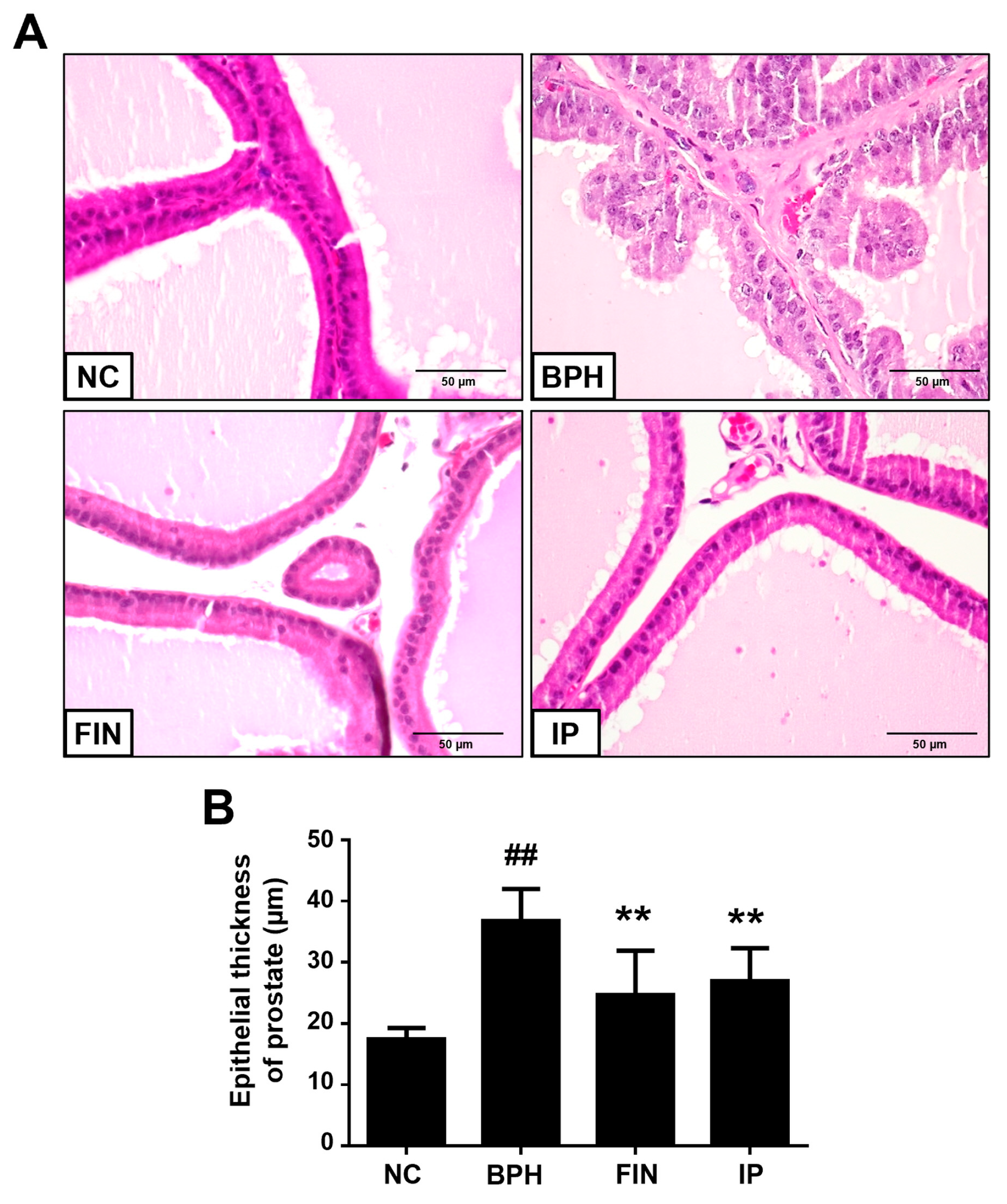 Pharmaceuticals 17 01032 g003