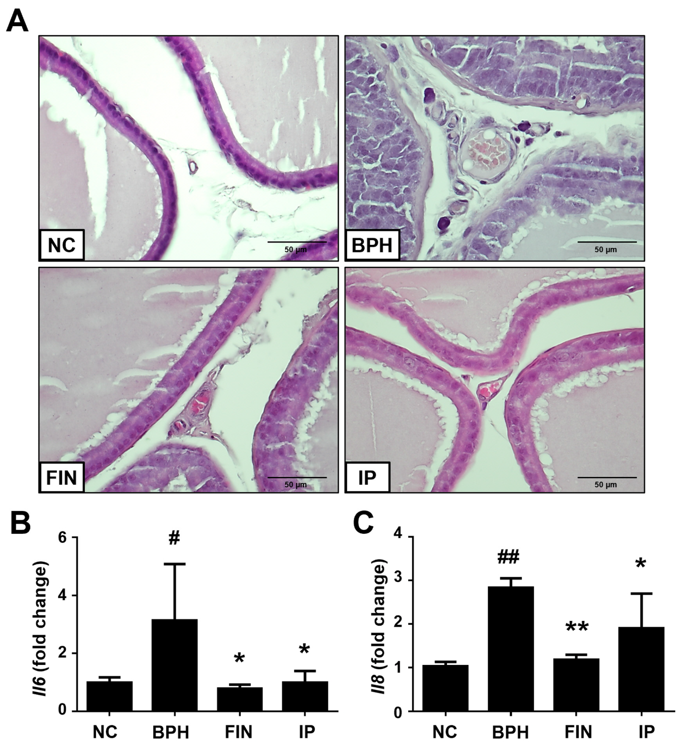 Pharmaceuticals 17 01032 g006
