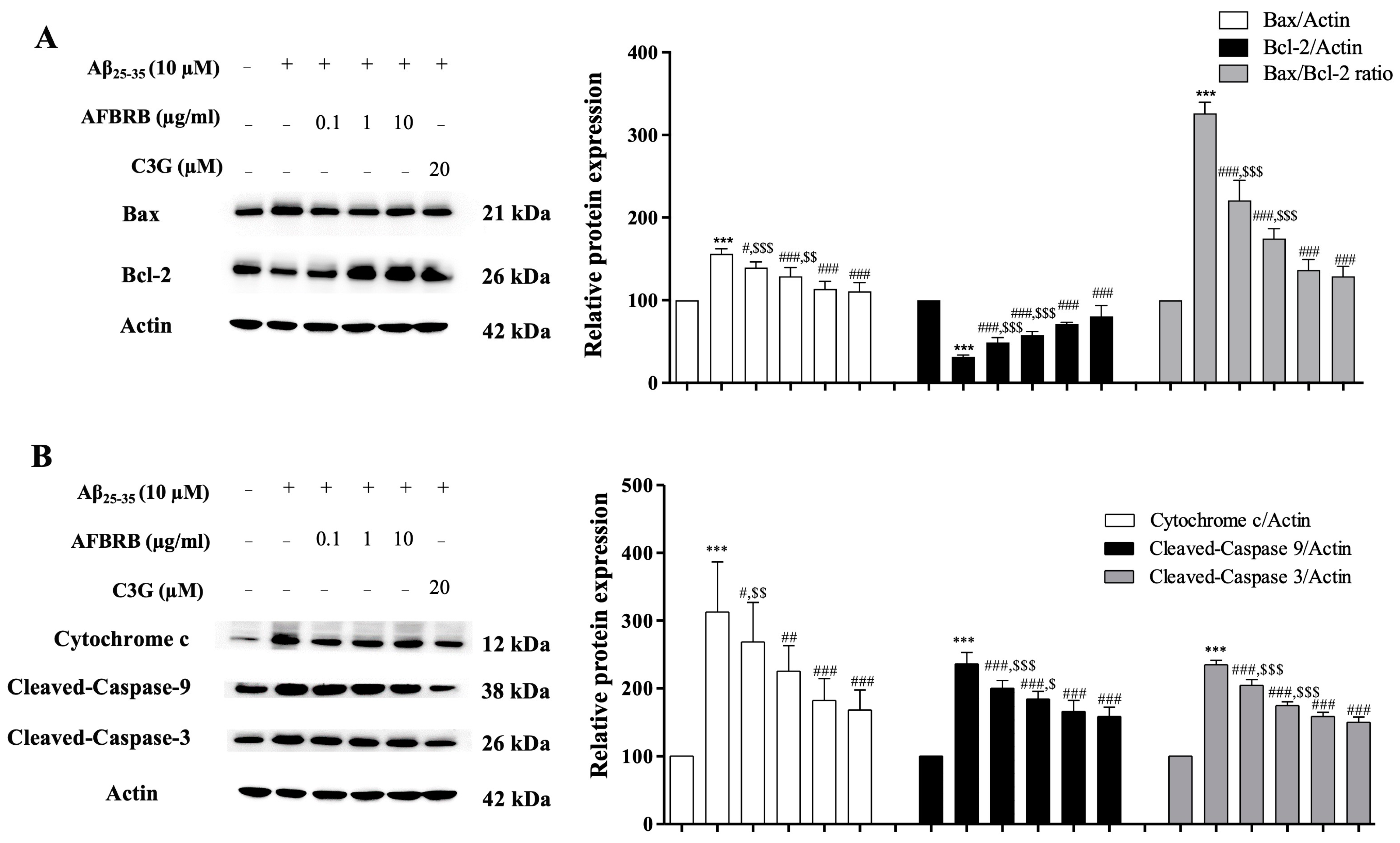 Pharmaceuticals 17 01039 g003