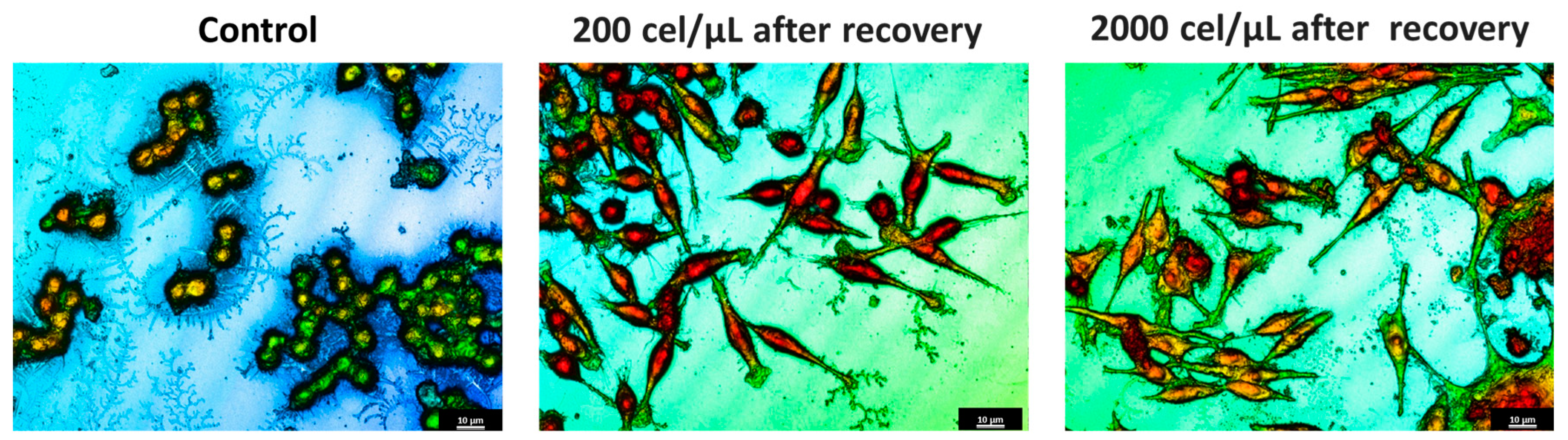 Pharmaceuticals 17 01042 g004