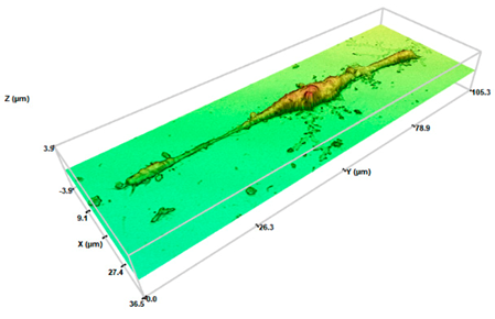Pharmaceuticals 17 01042 i003