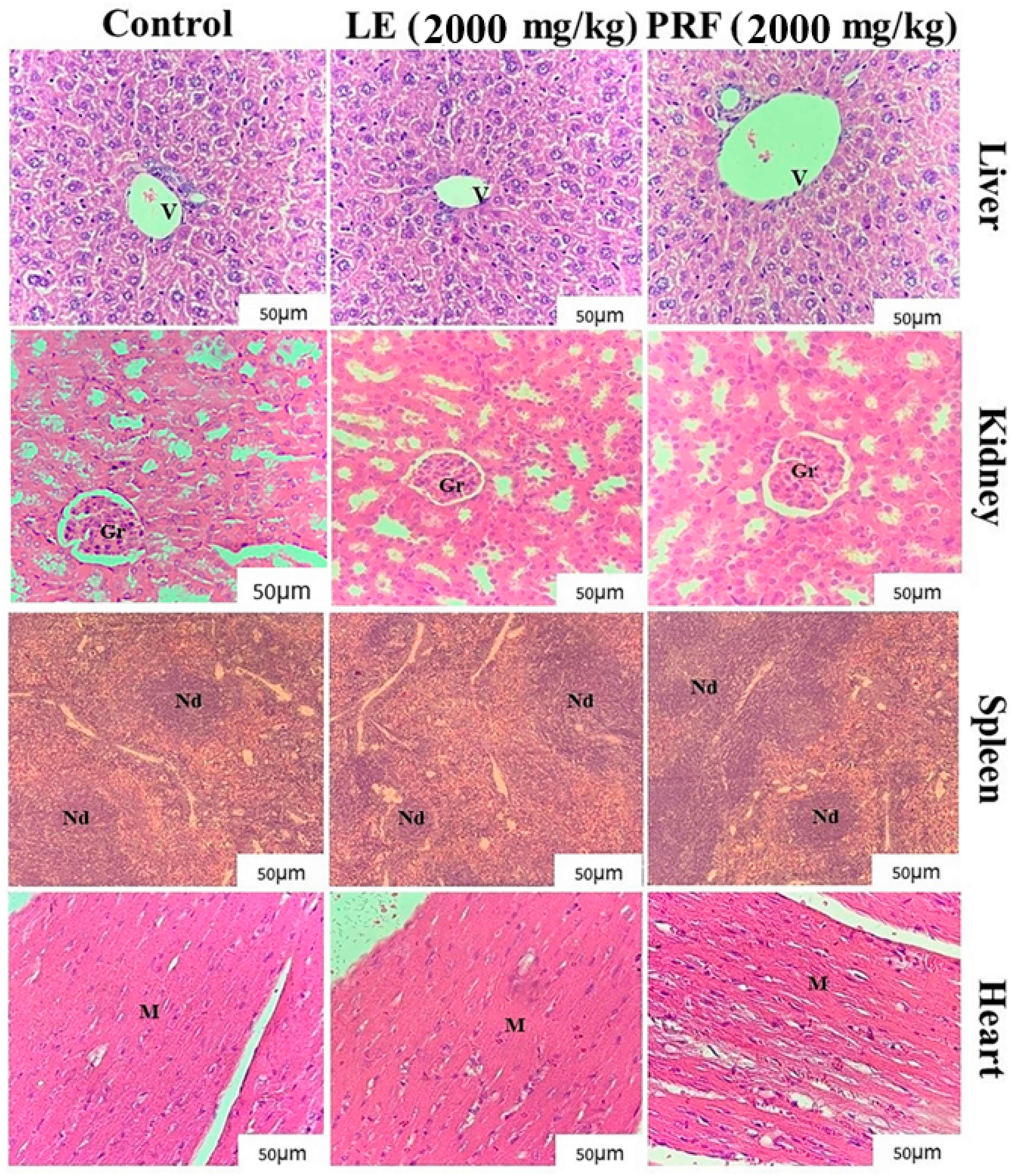 Pharmaceuticals 17 01045 g002