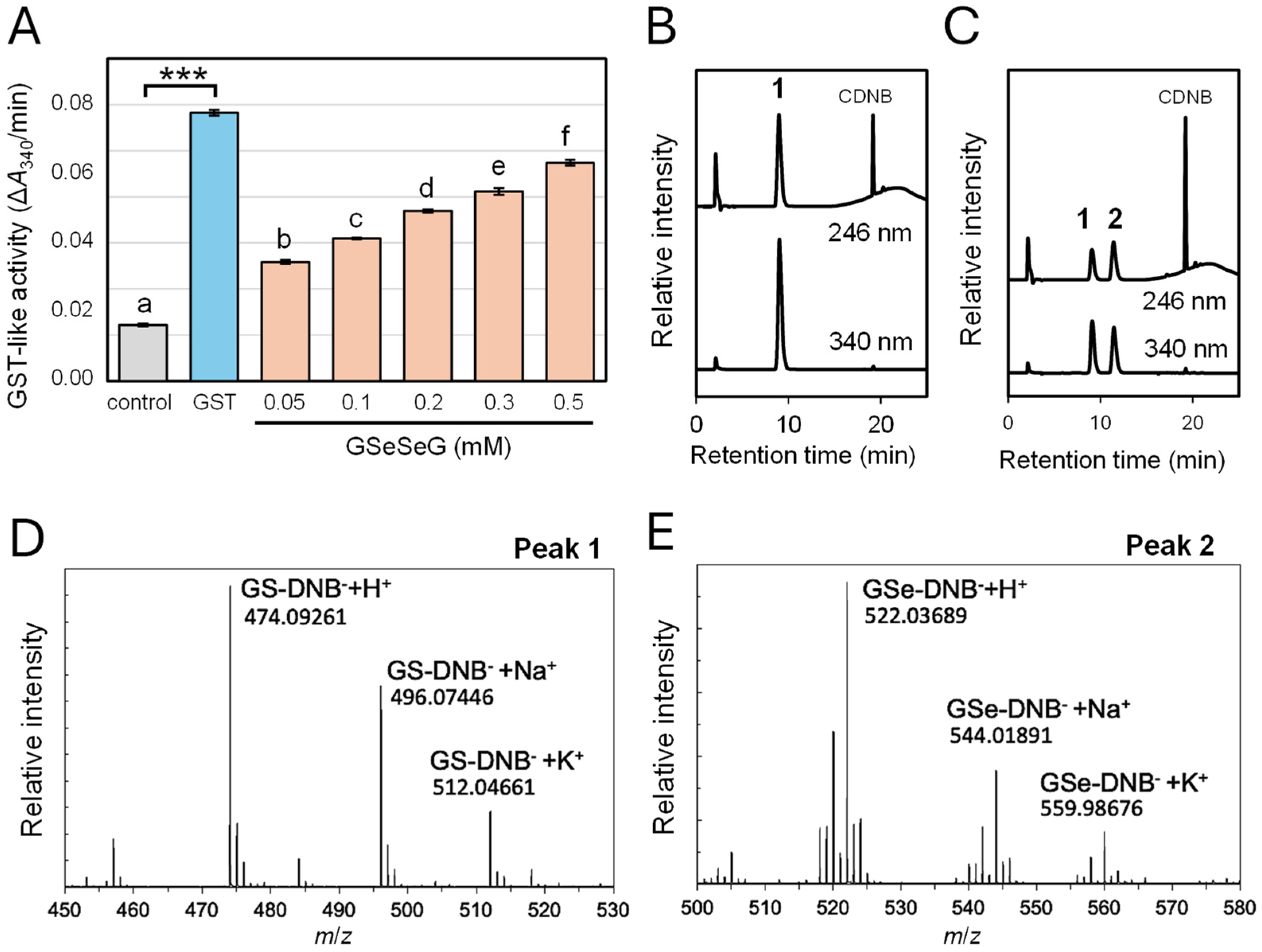 Pharmaceuticals 17 01049 g003
