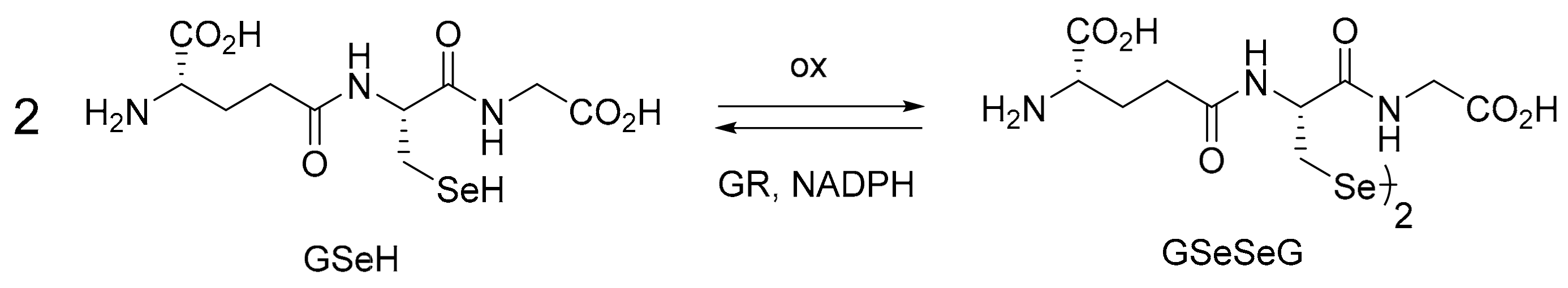 Pharmaceuticals 17 01049 sch001
