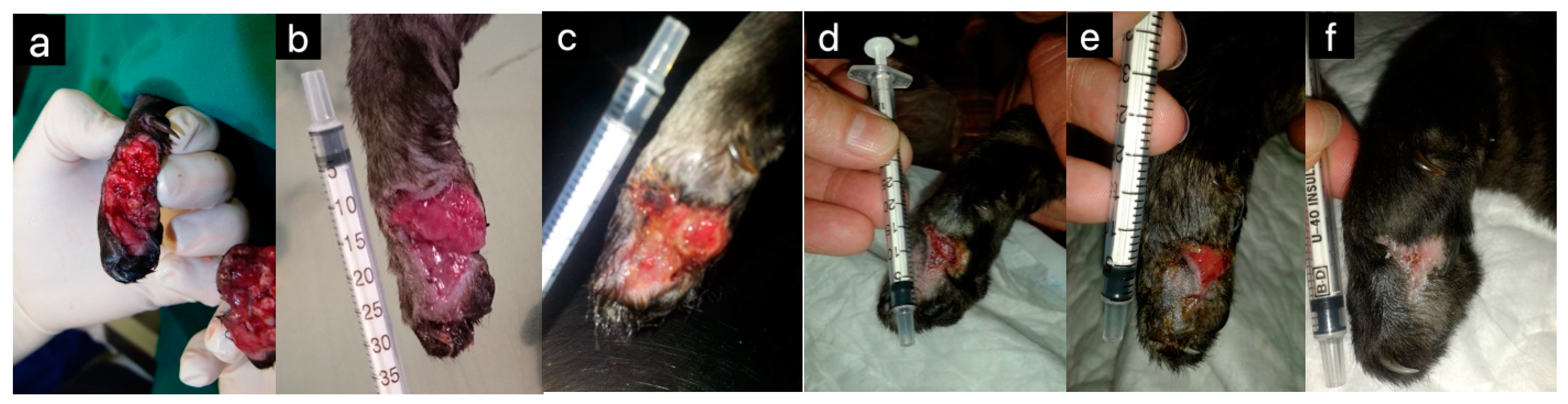 Pharmaceuticals 17 01050 g001