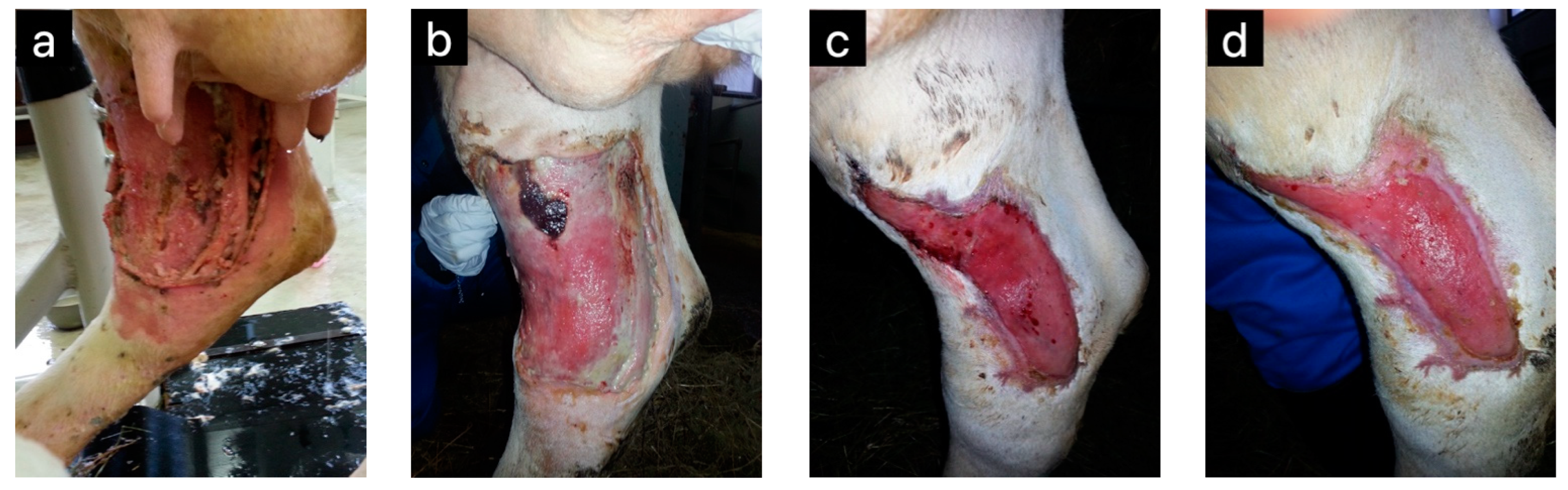 Pharmaceuticals 17 01050 g004