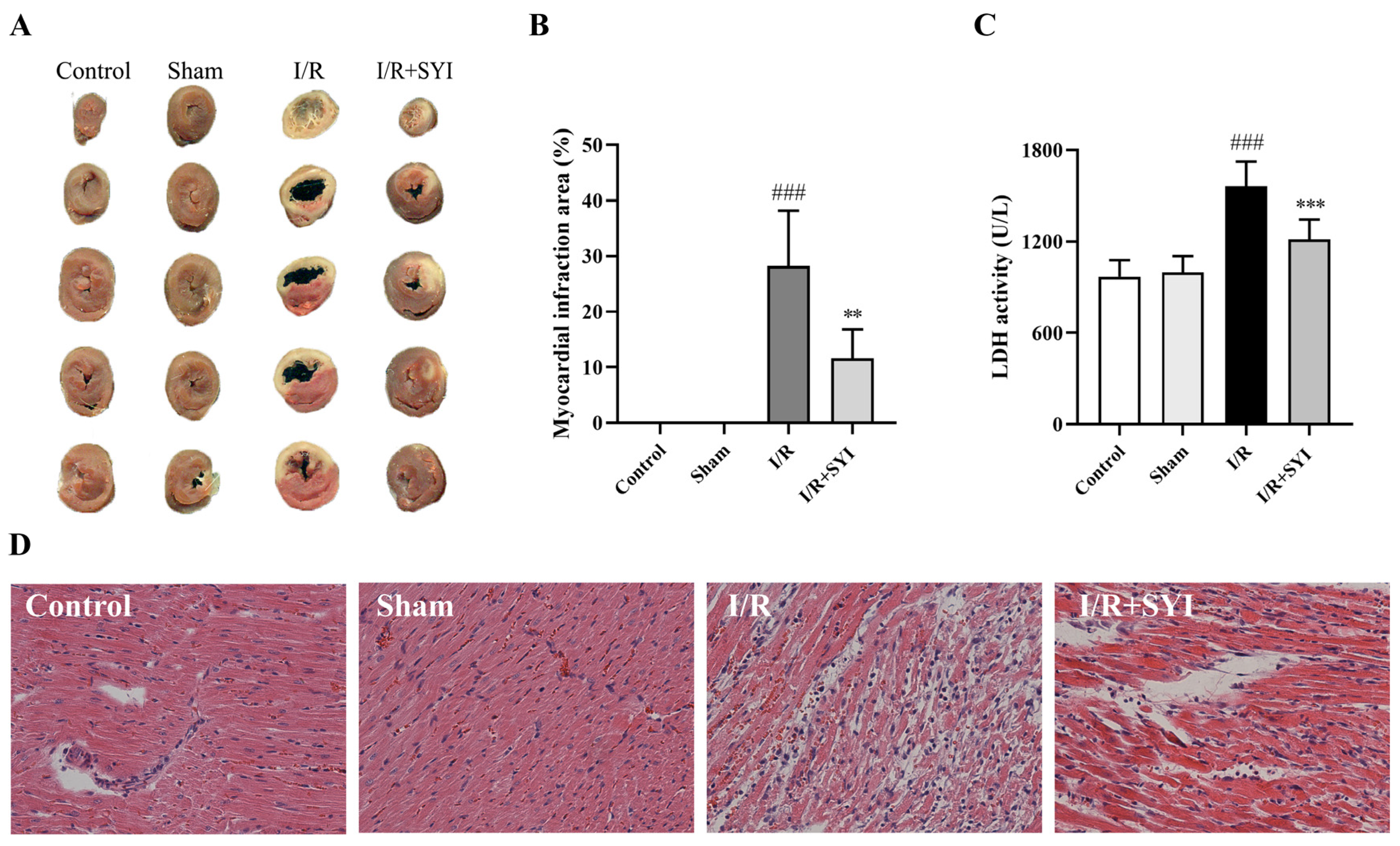 Pharmaceuticals 17 01058 g001