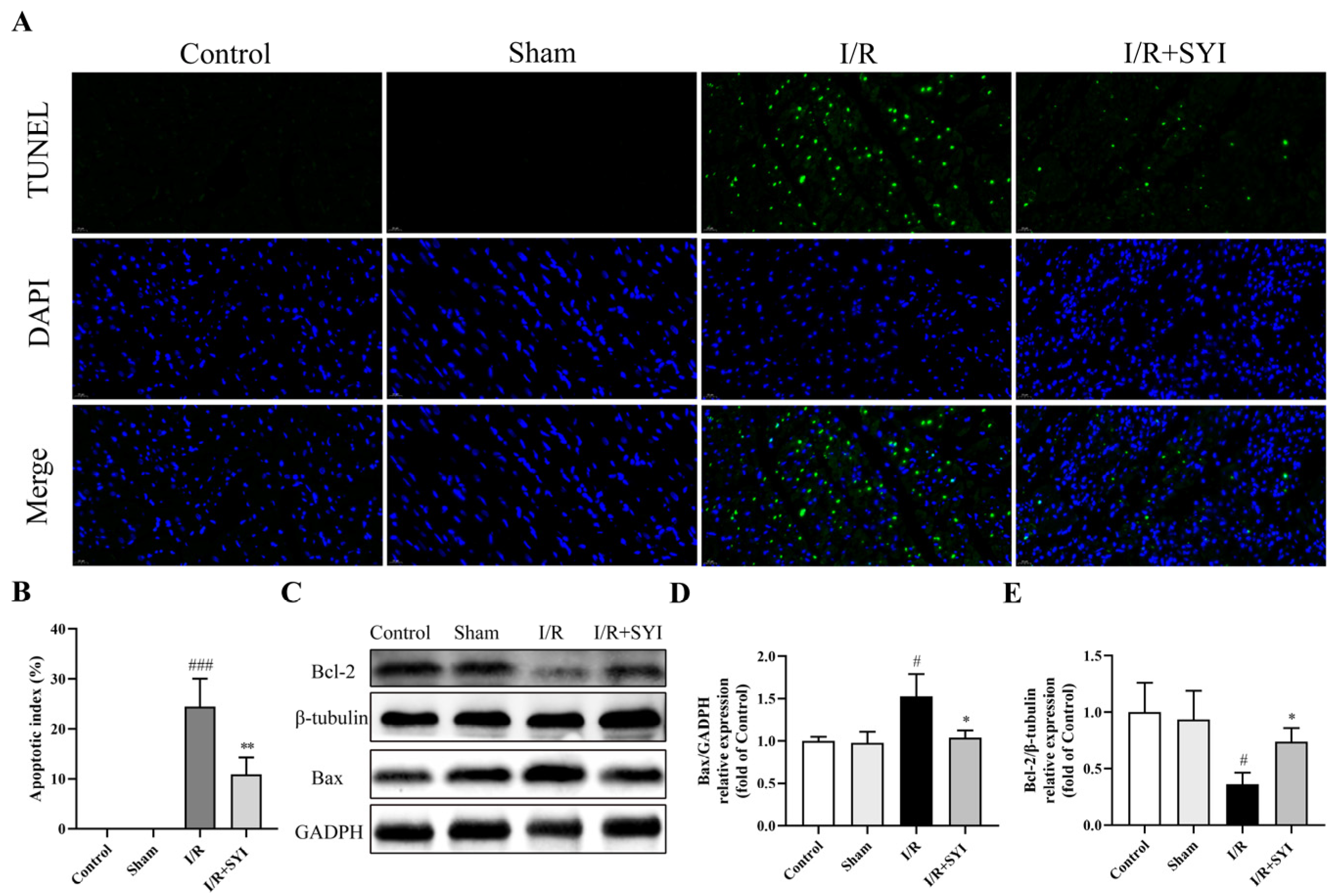 Pharmaceuticals 17 01058 g002