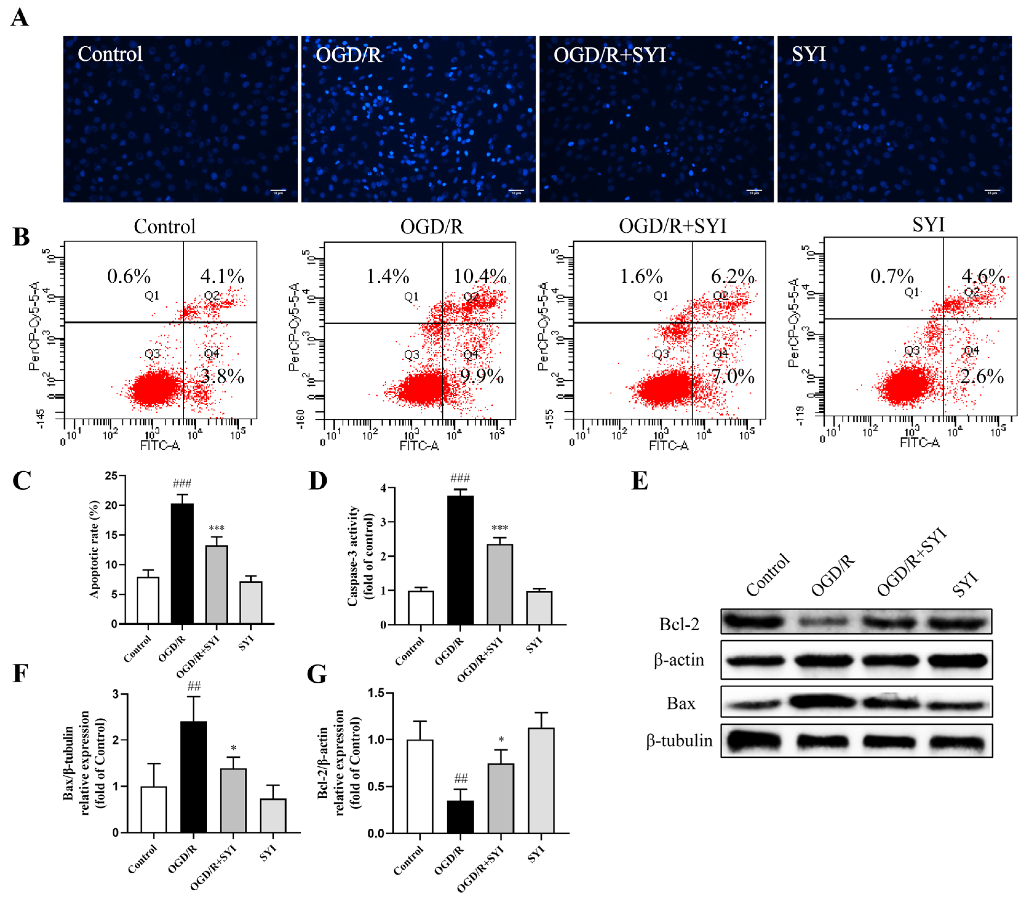 Pharmaceuticals 17 01058 g005