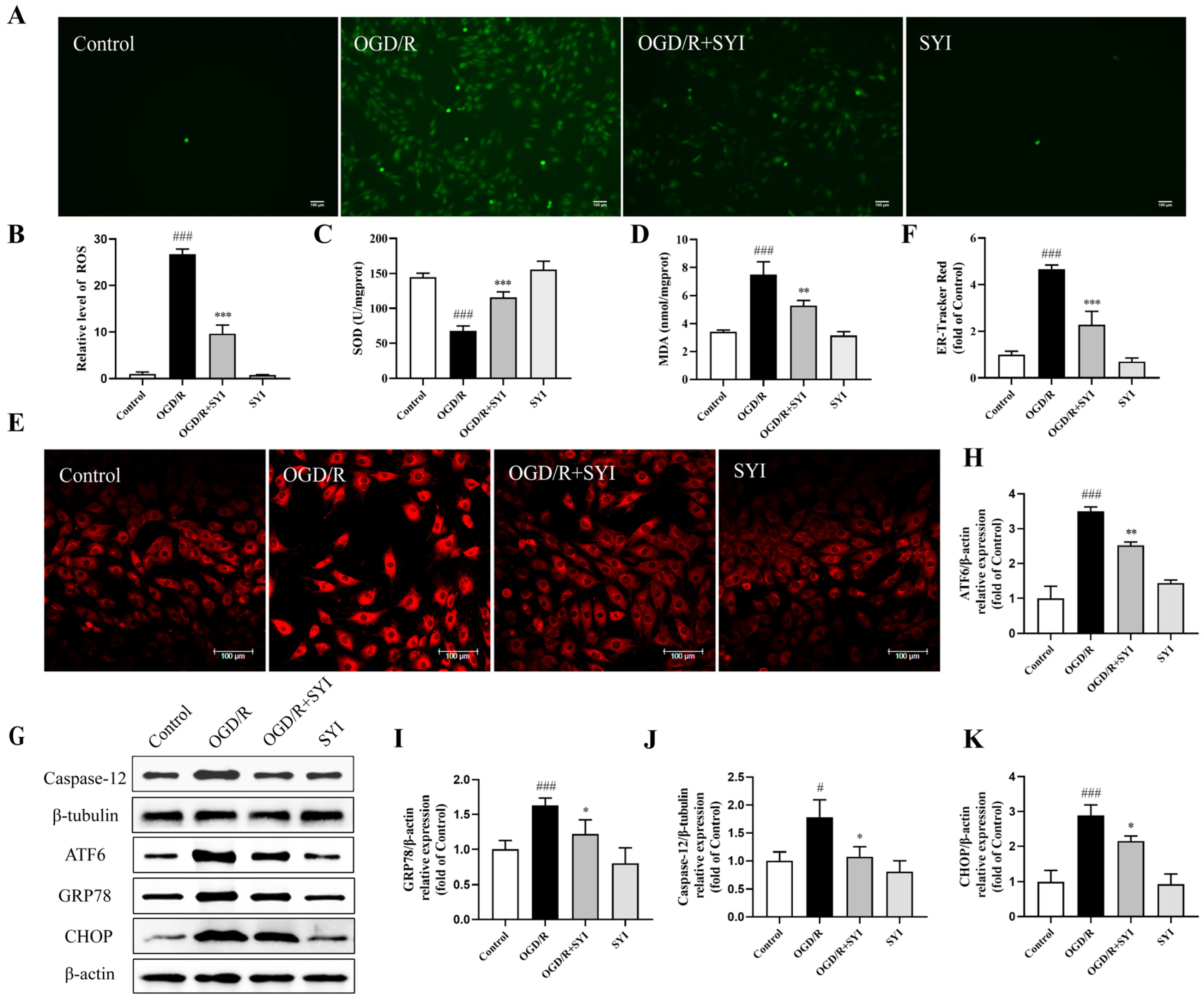 Pharmaceuticals 17 01058 g006