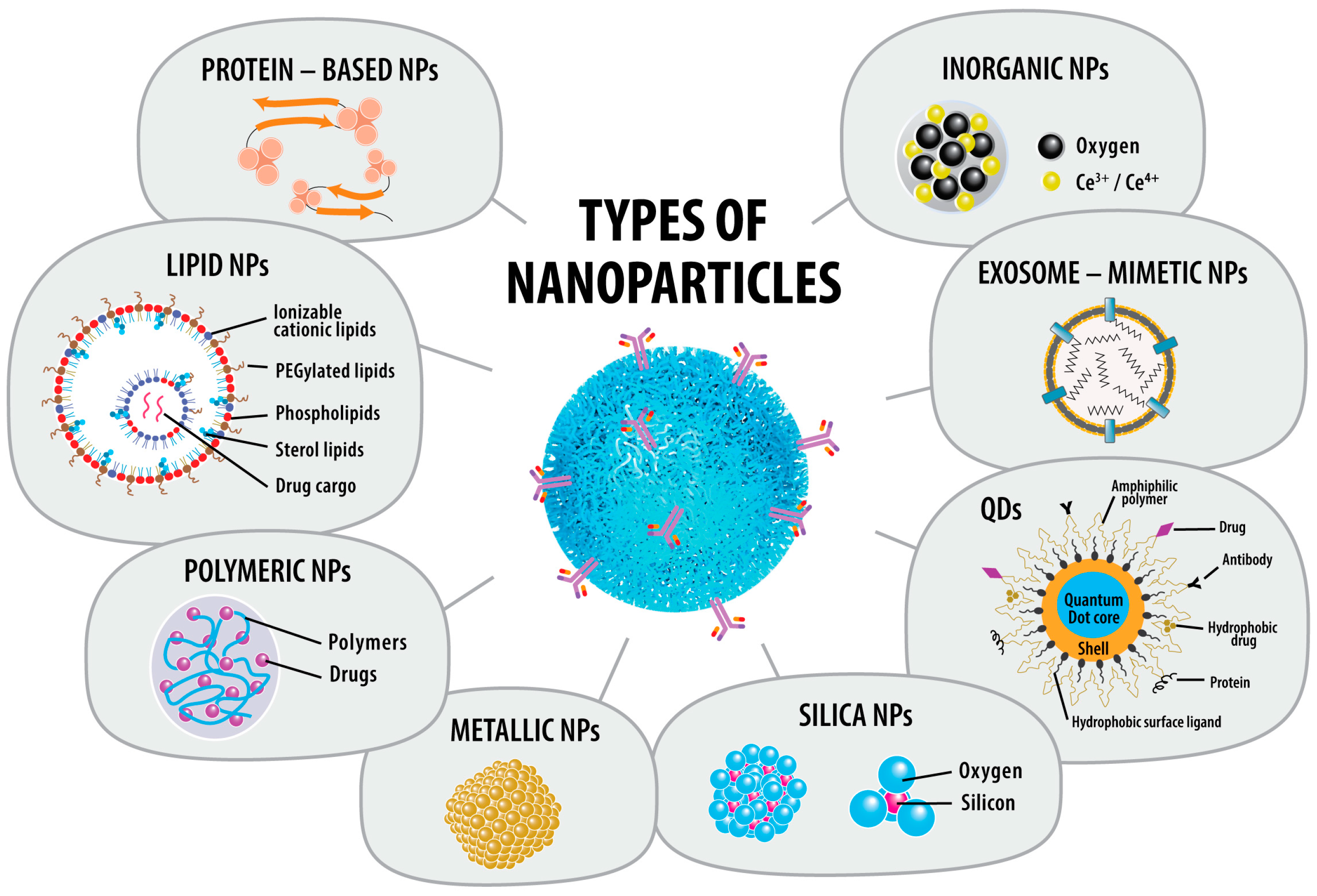 Pharmaceuticals 17 01059 g002 Pharmaceuticals 17 01059 g002