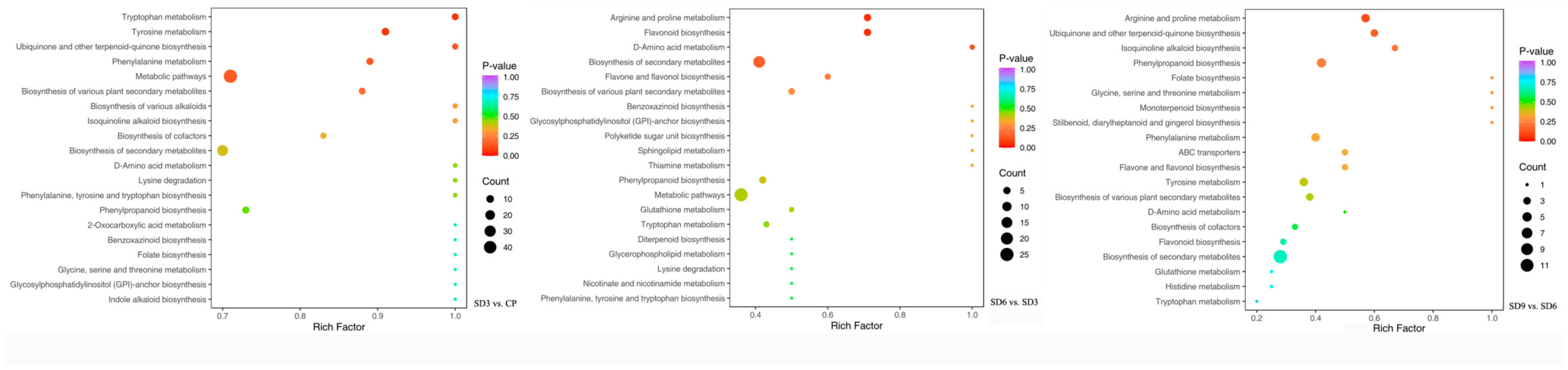 Pharmaceuticals 17 01074 g007
