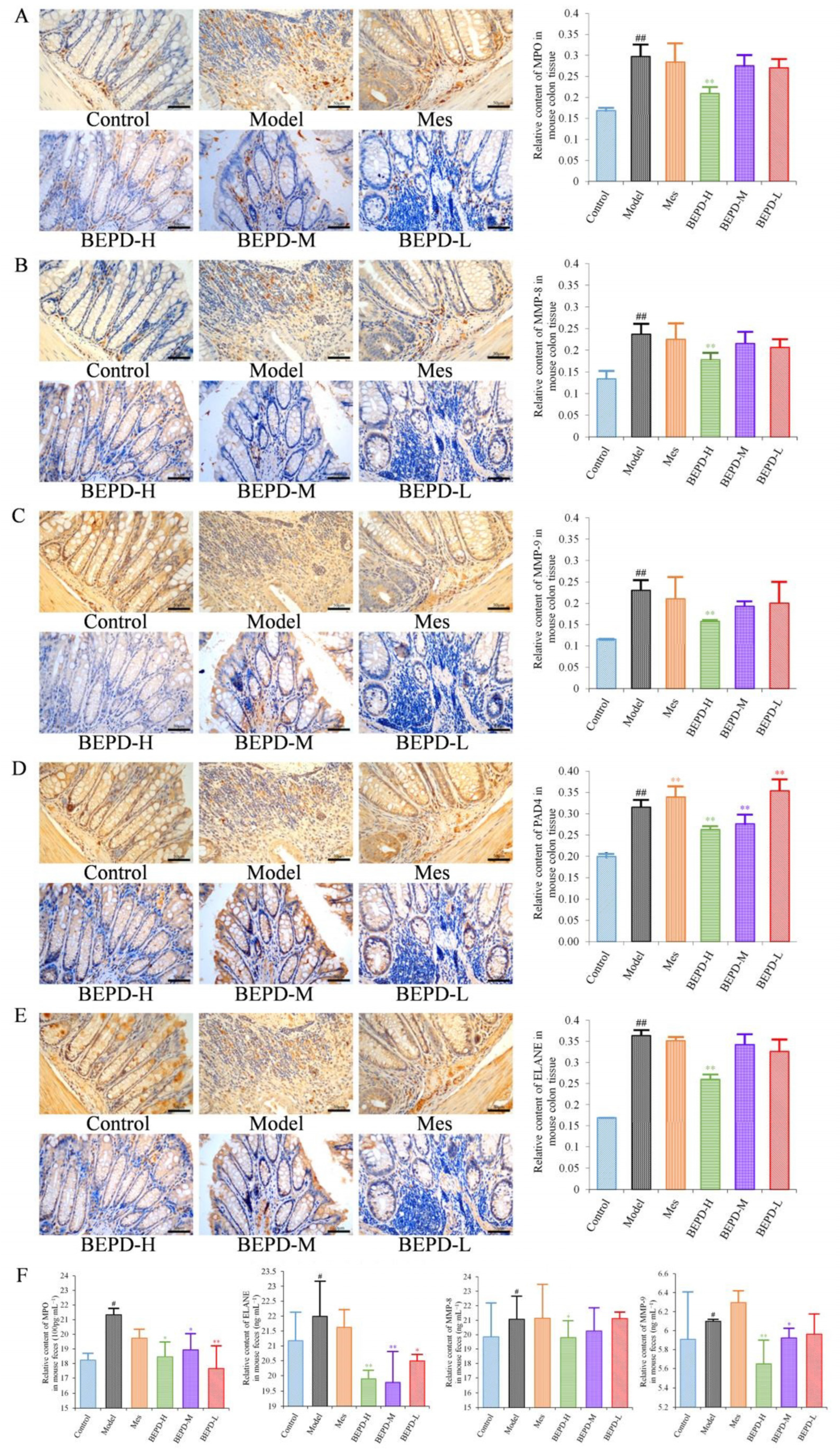 Pharmaceuticals 17 01077 g007