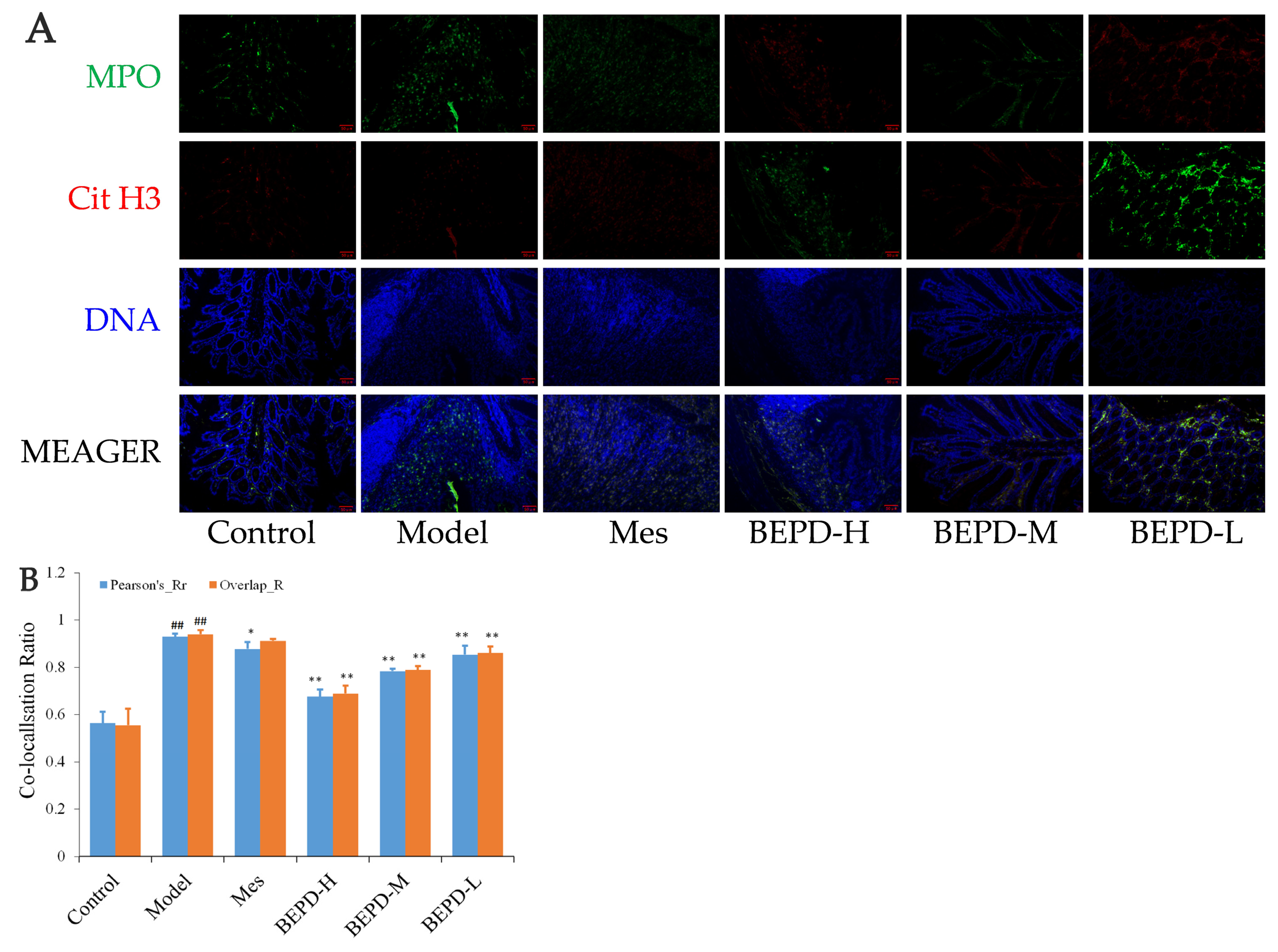 Pharmaceuticals 17 01077 g008a
