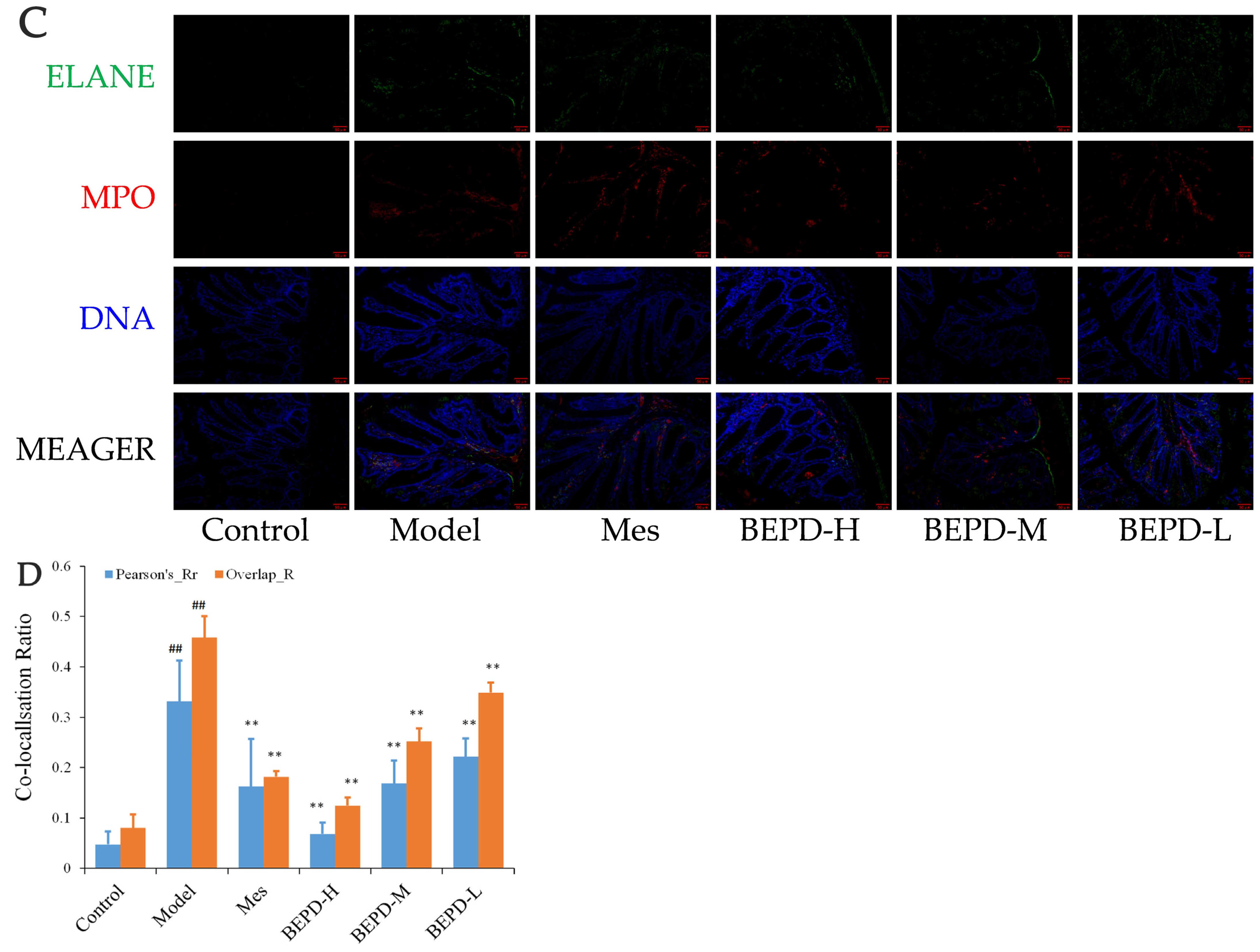 Pharmaceuticals 17 01077 g008b