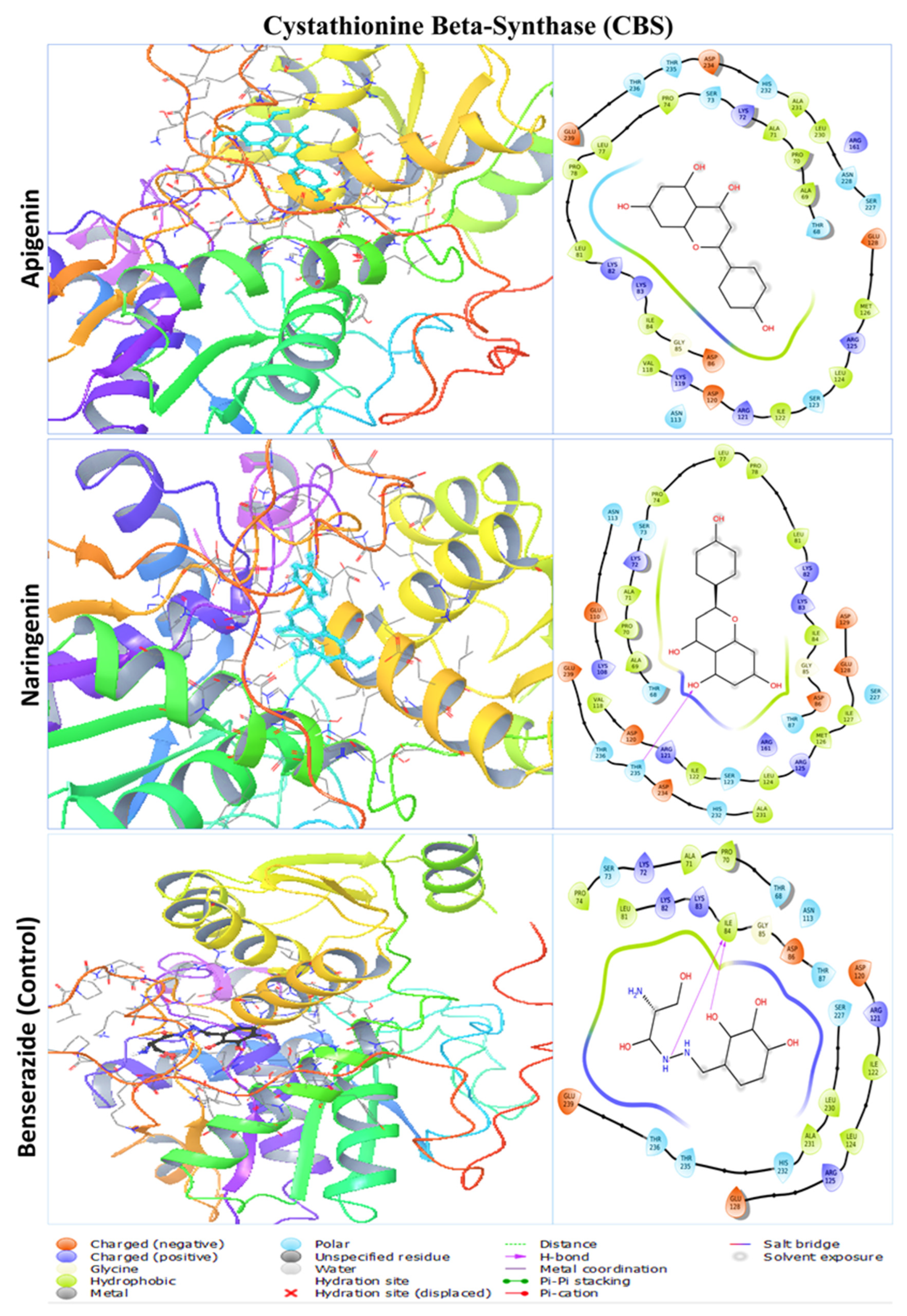 Pharmaceuticals 17 01090 g005