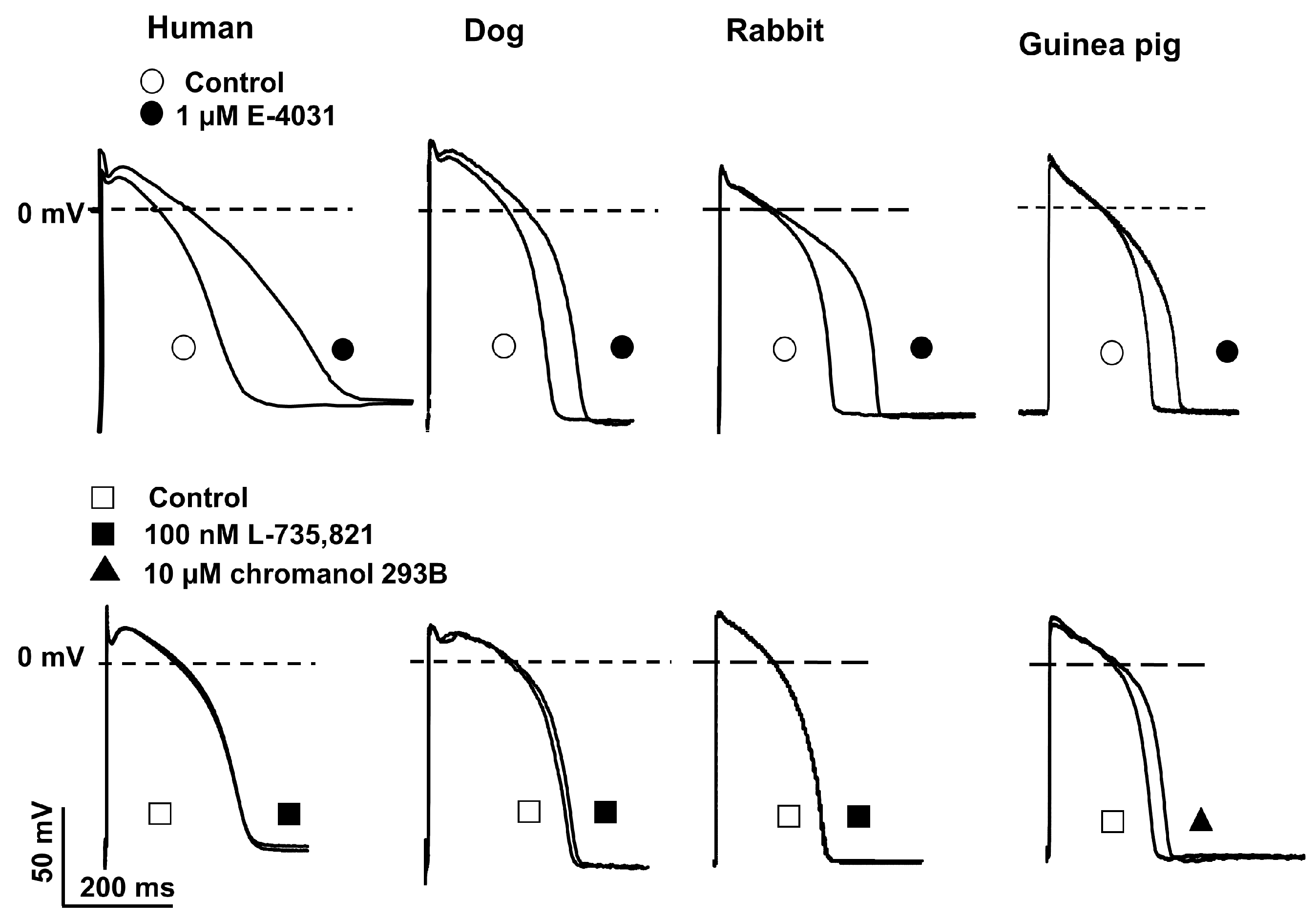 Pharmaceuticals 17 01091 g004