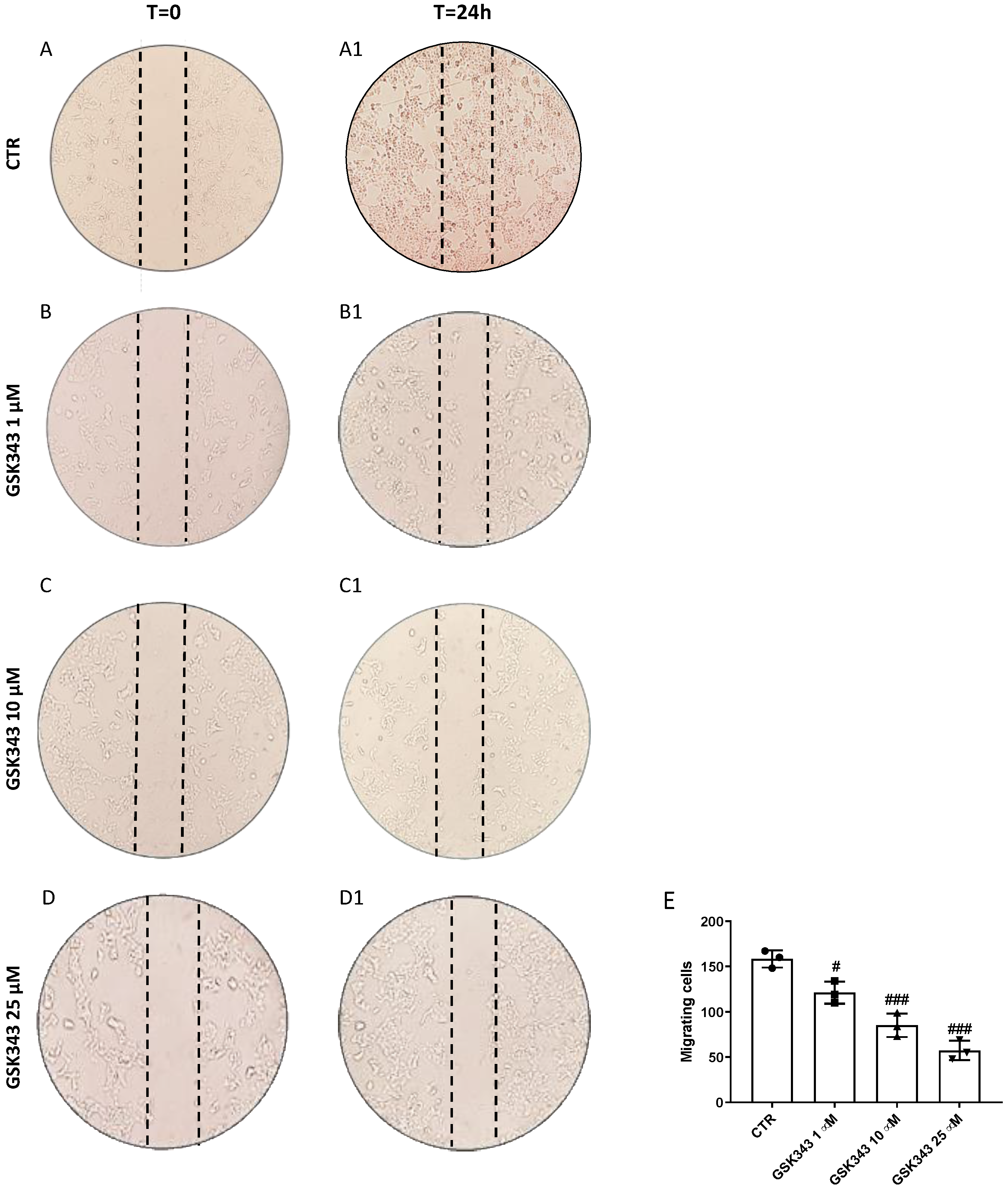 Pharmaceuticals 17 01102 g002