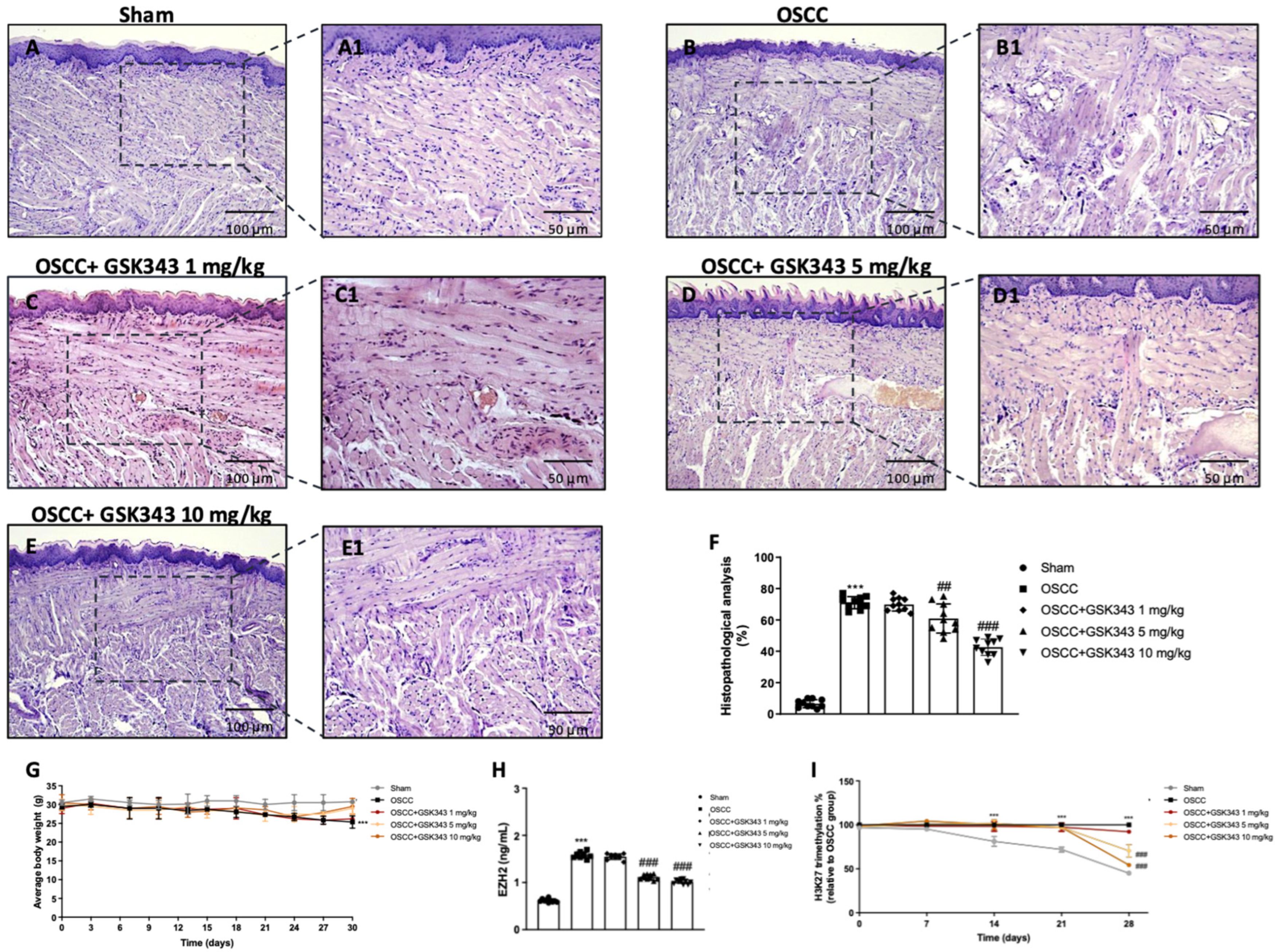 Pharmaceuticals 17 01102 g006