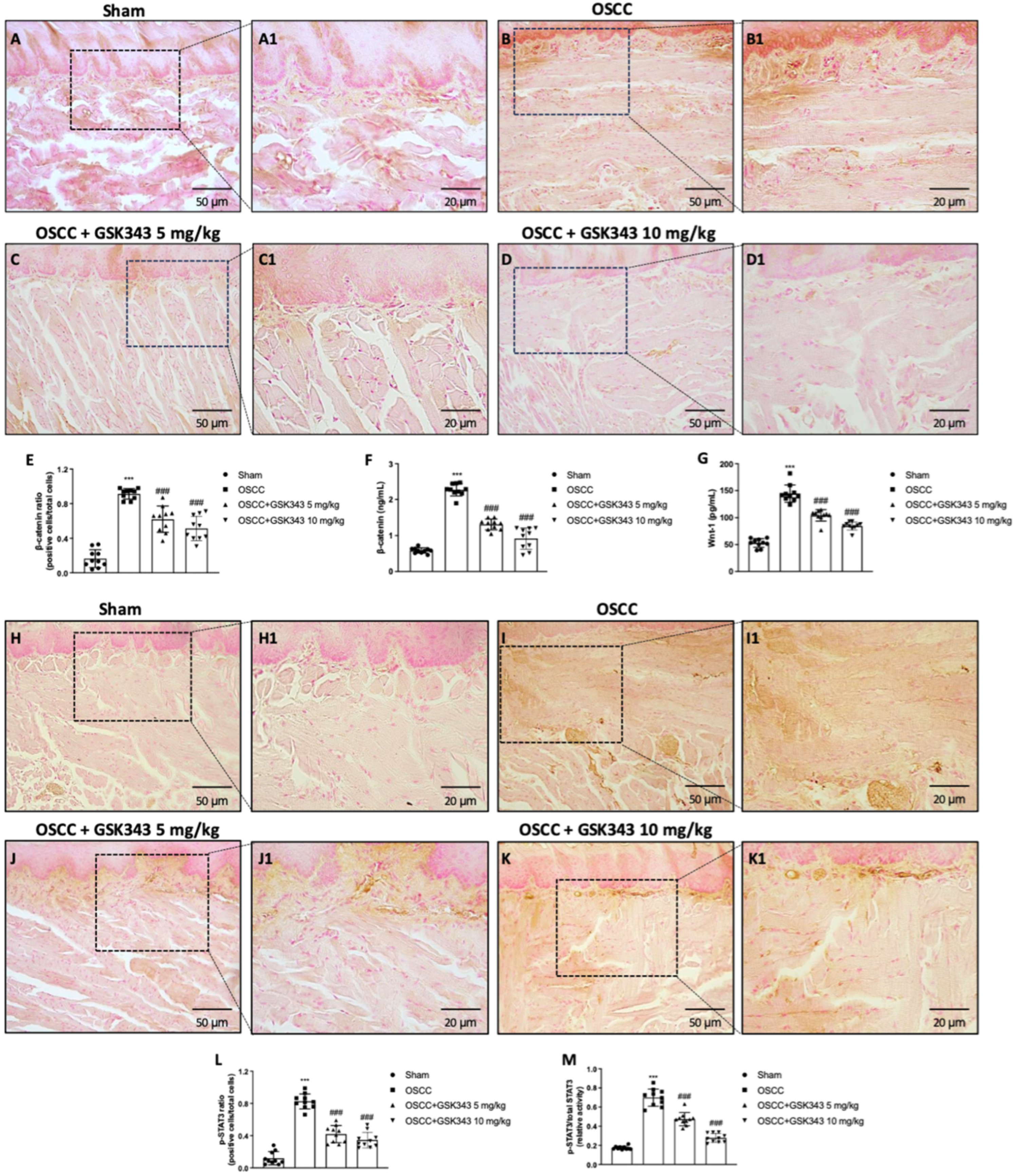 Pharmaceuticals 17 01102 g007