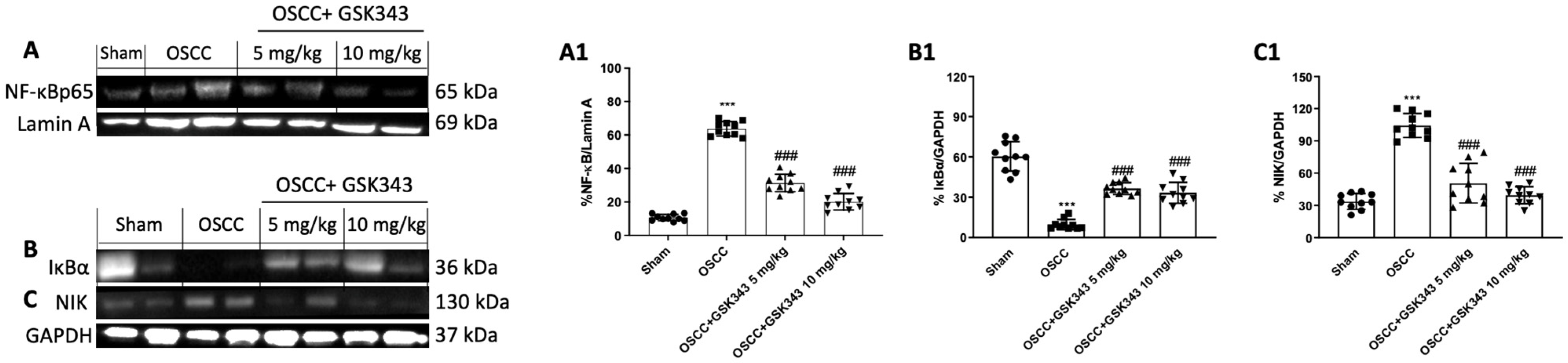Pharmaceuticals 17 01102 g008