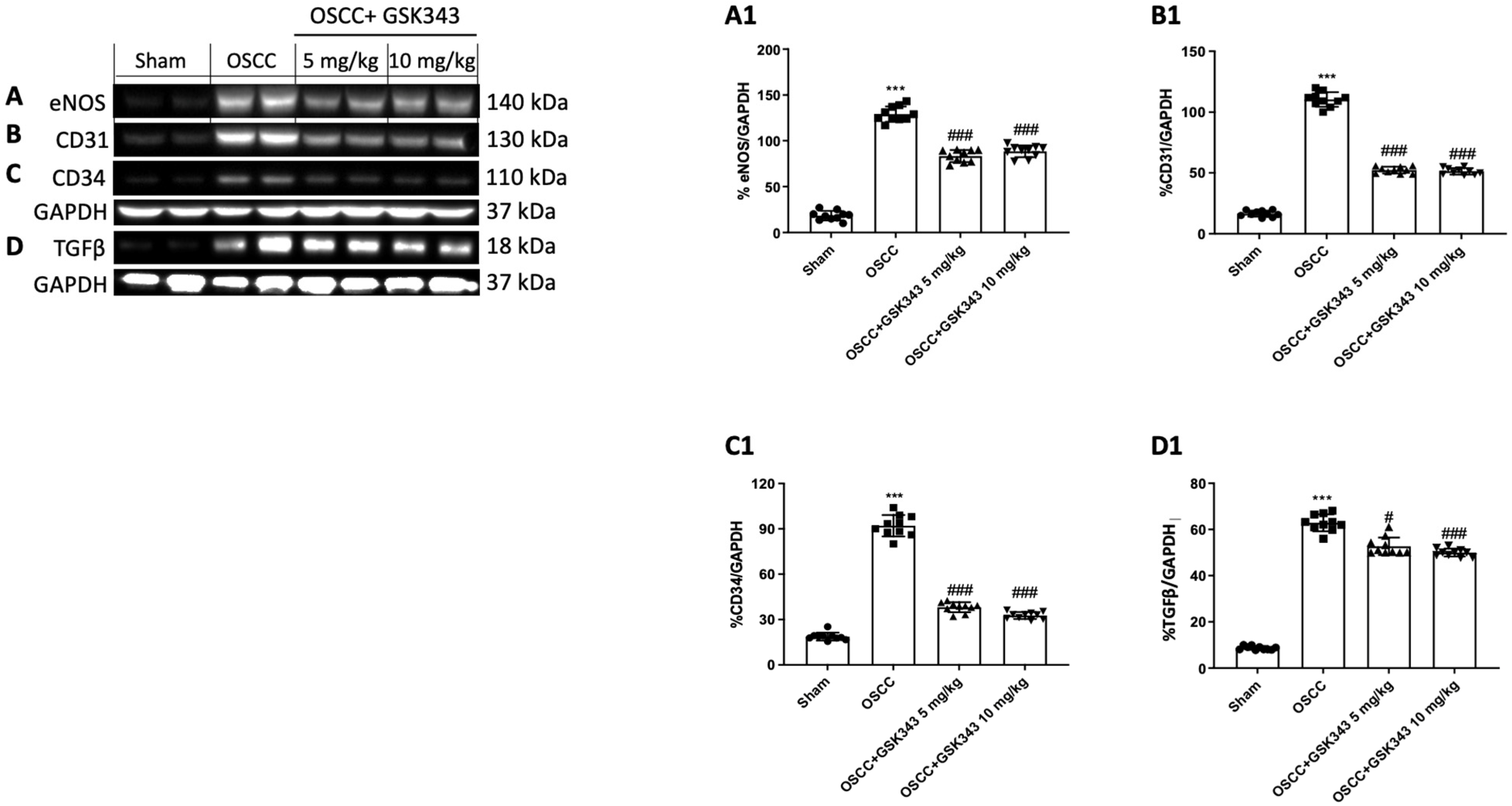 Pharmaceuticals 17 01102 g009