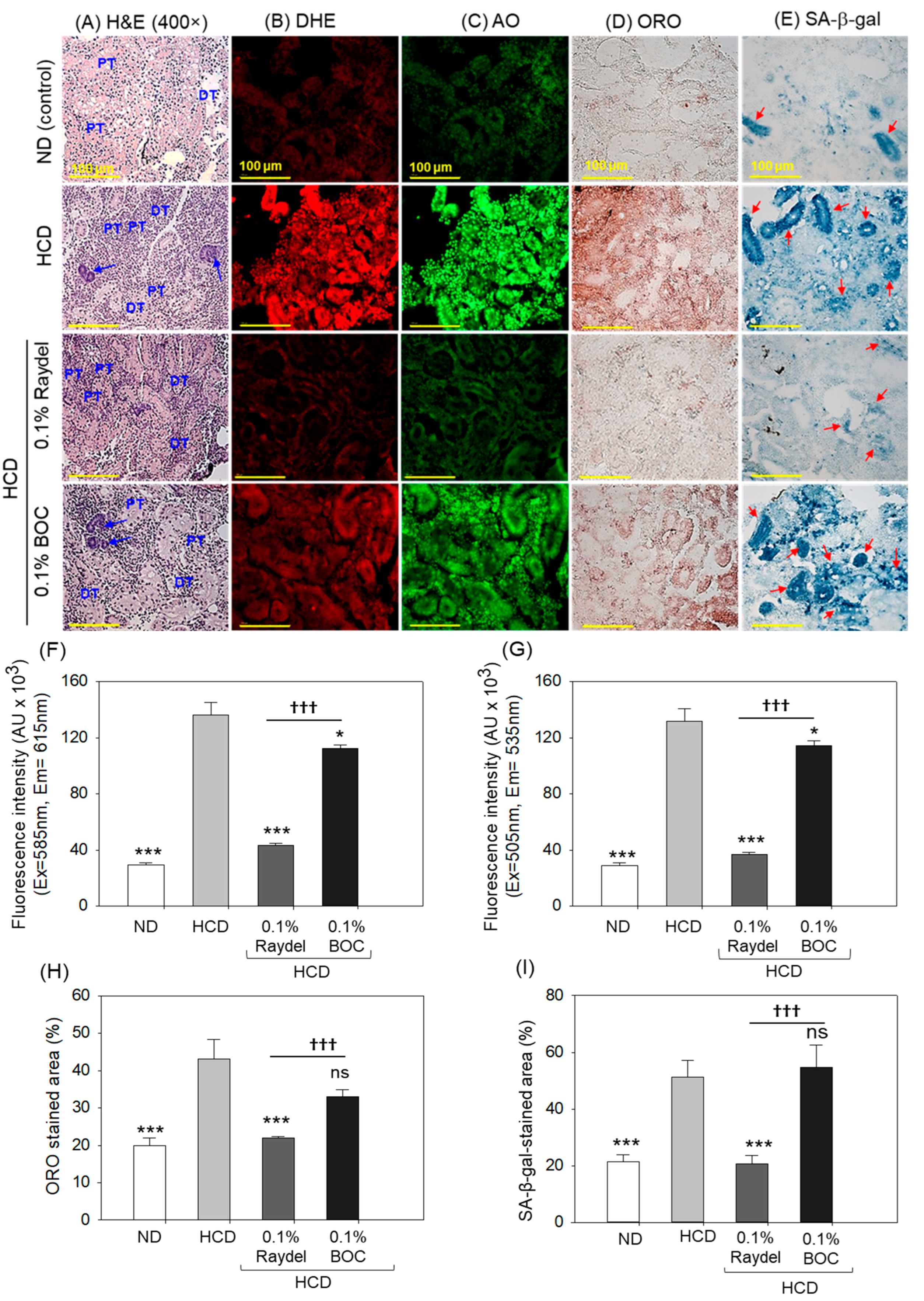 Pharmaceuticals 17 01103 g006