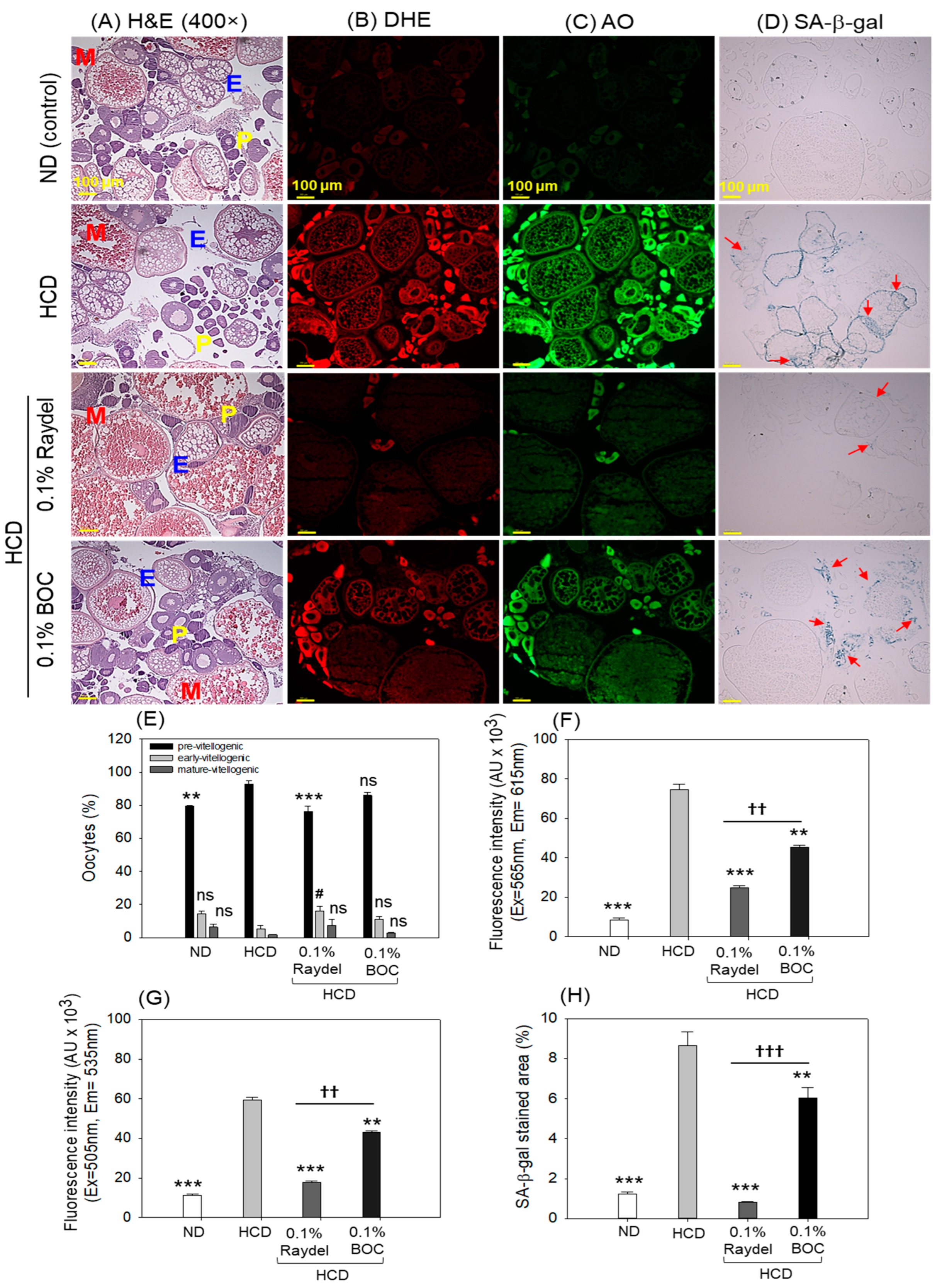 Pharmaceuticals 17 01103 g007