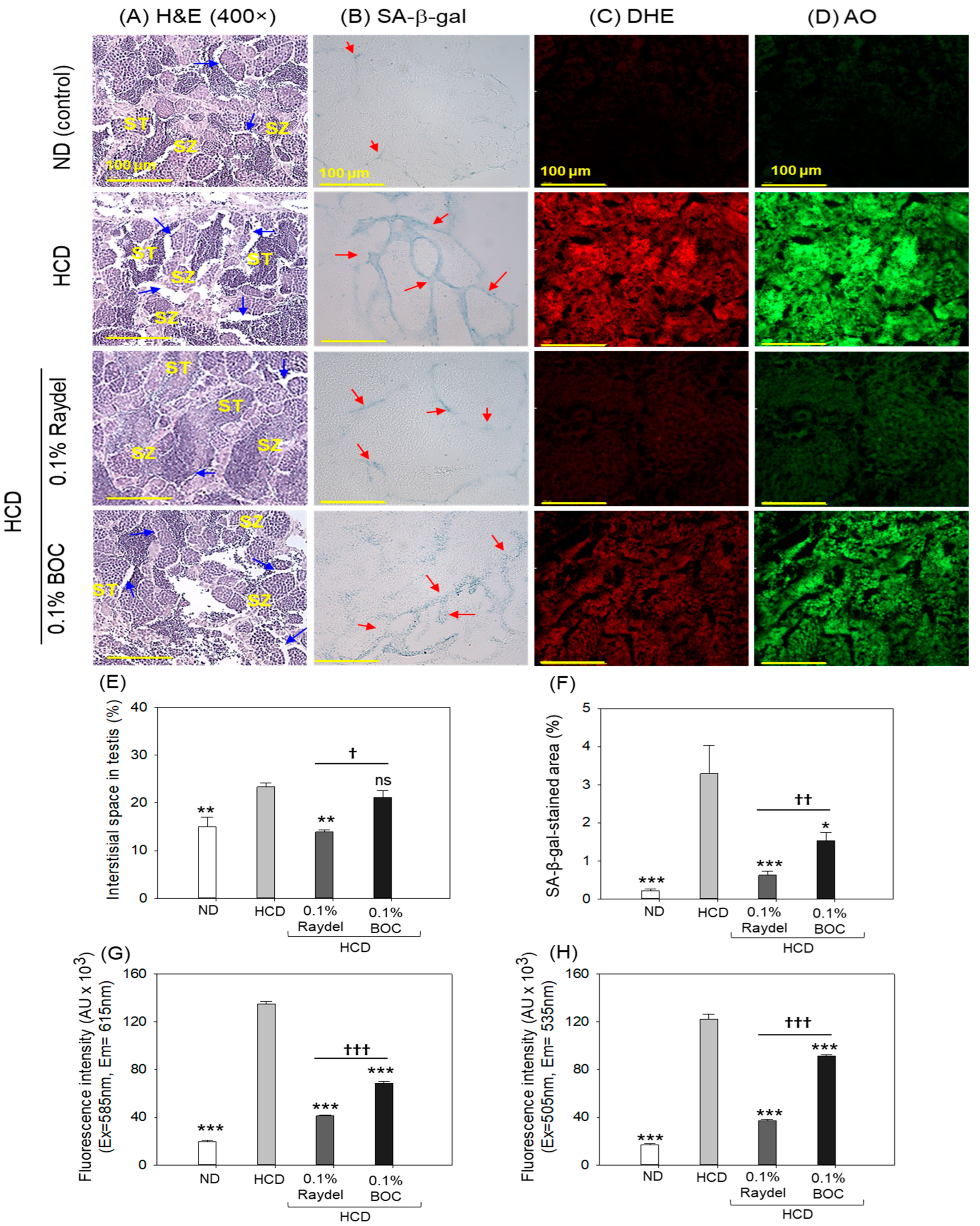 Pharmaceuticals 17 01103 g008