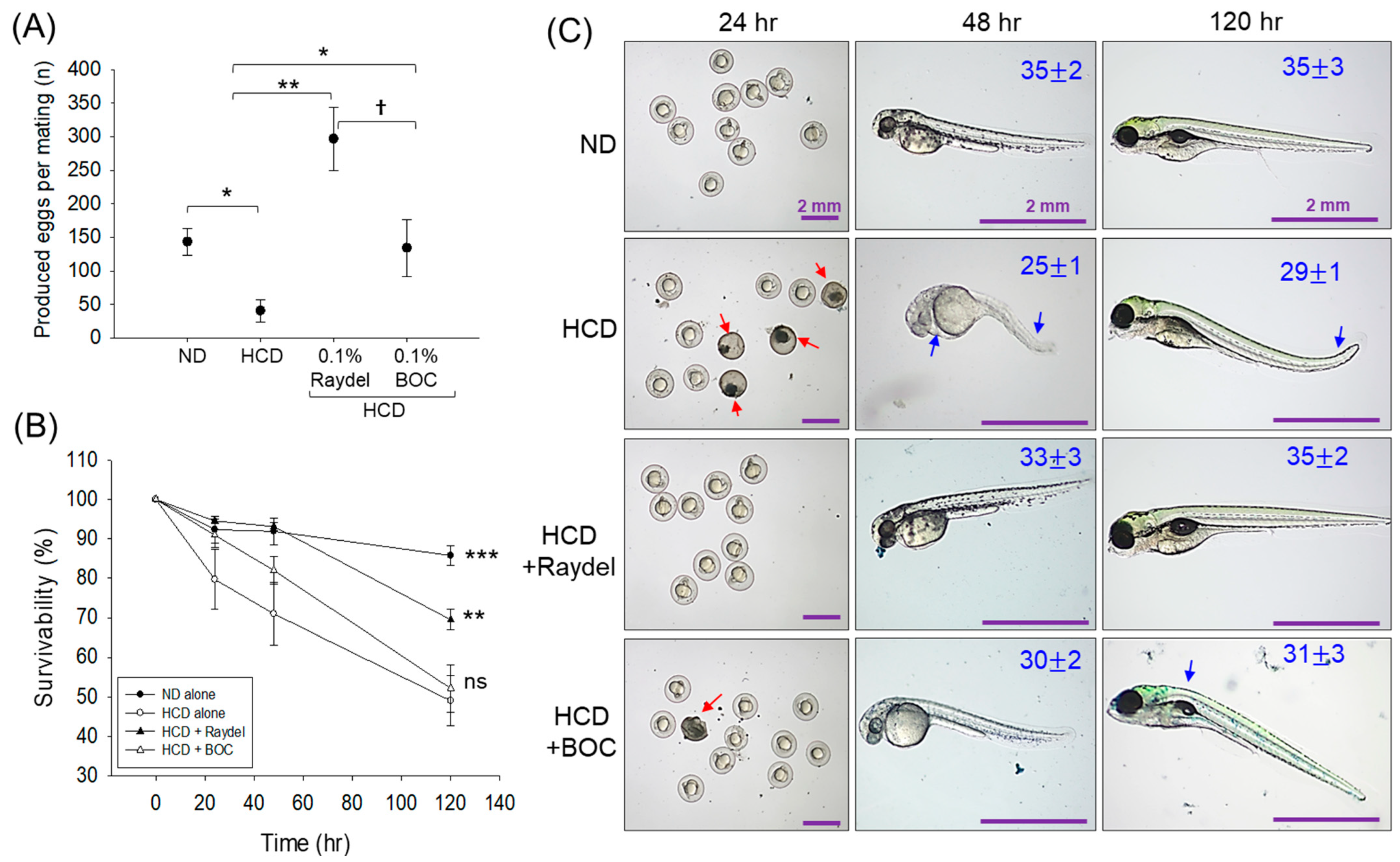 Pharmaceuticals 17 01103 g009