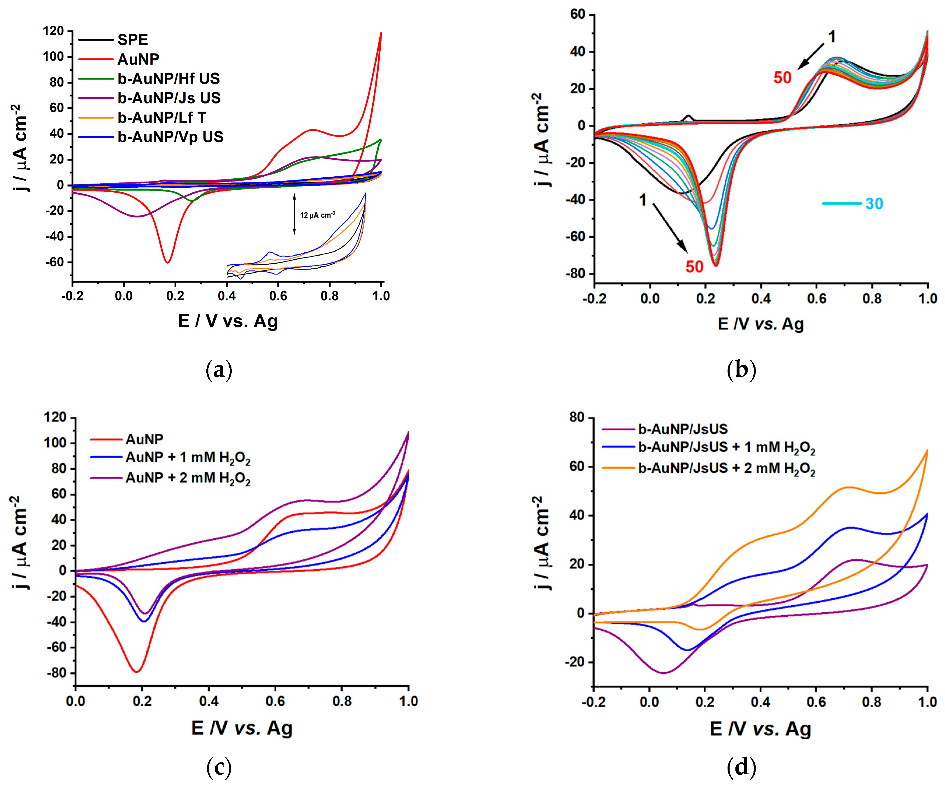 Pharmaceuticals 17 01105 g005