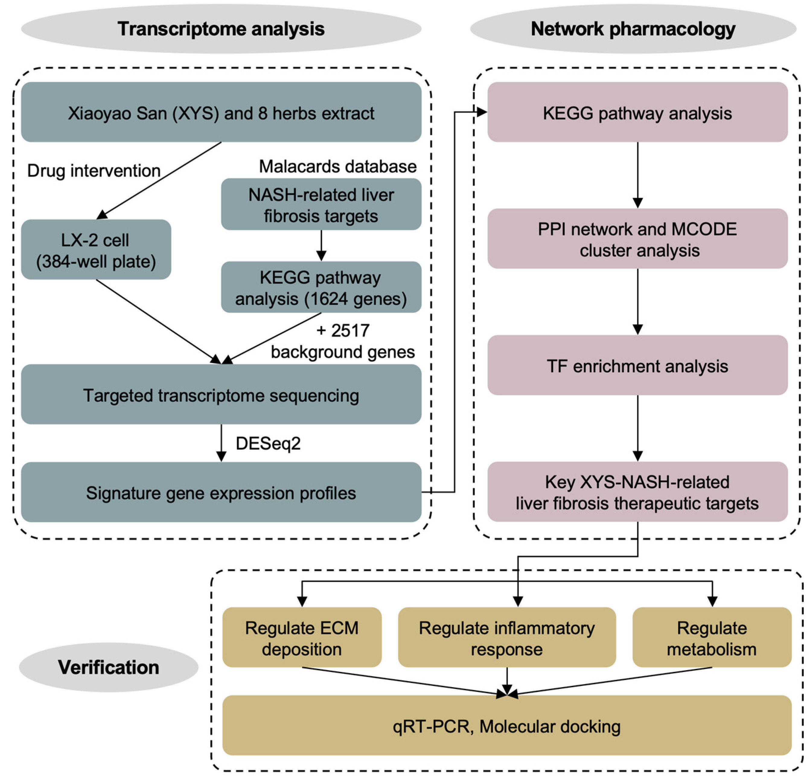 Pharmaceuticals 17 01128 g001