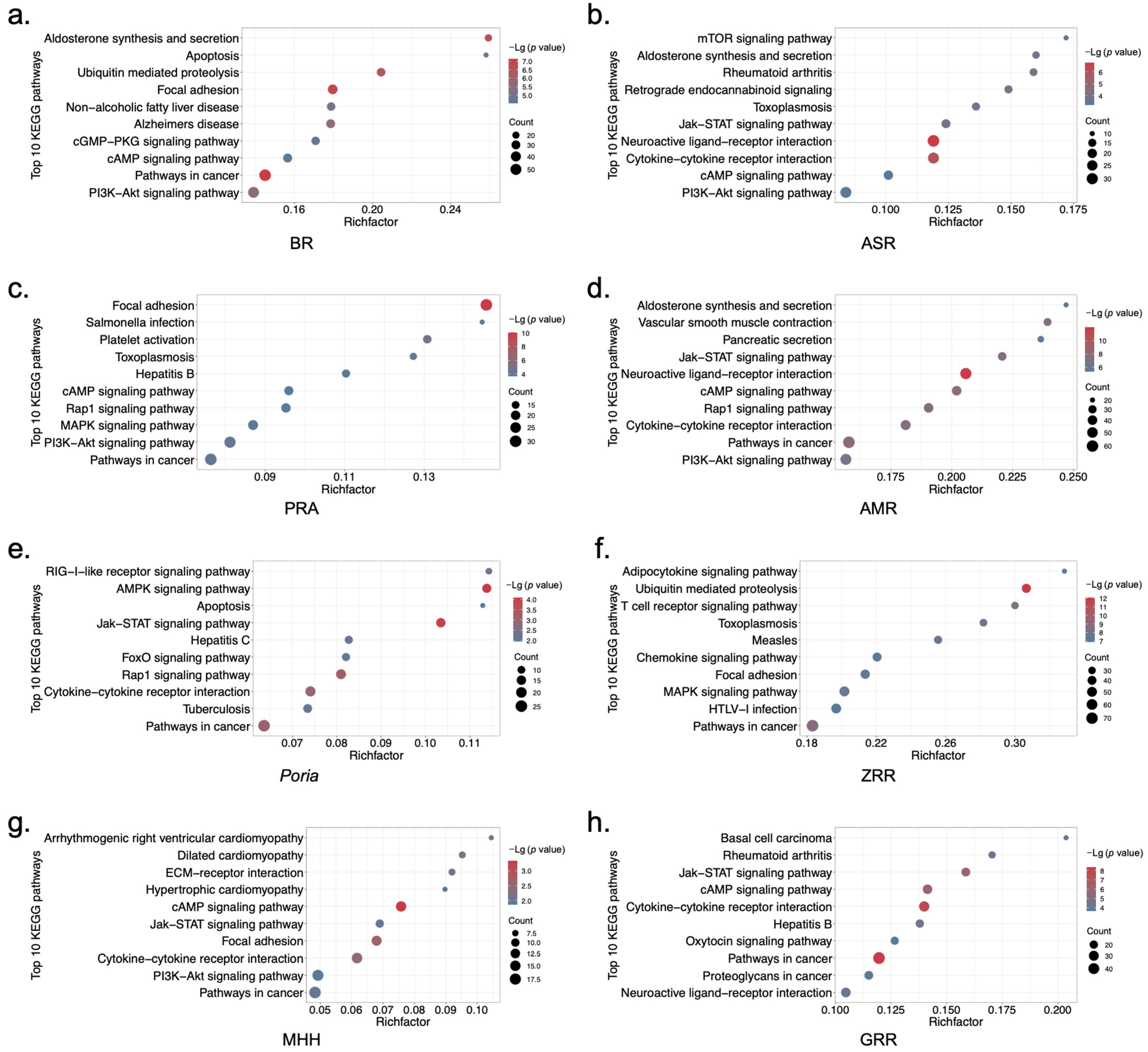 Pharmaceuticals 17 01128 g003