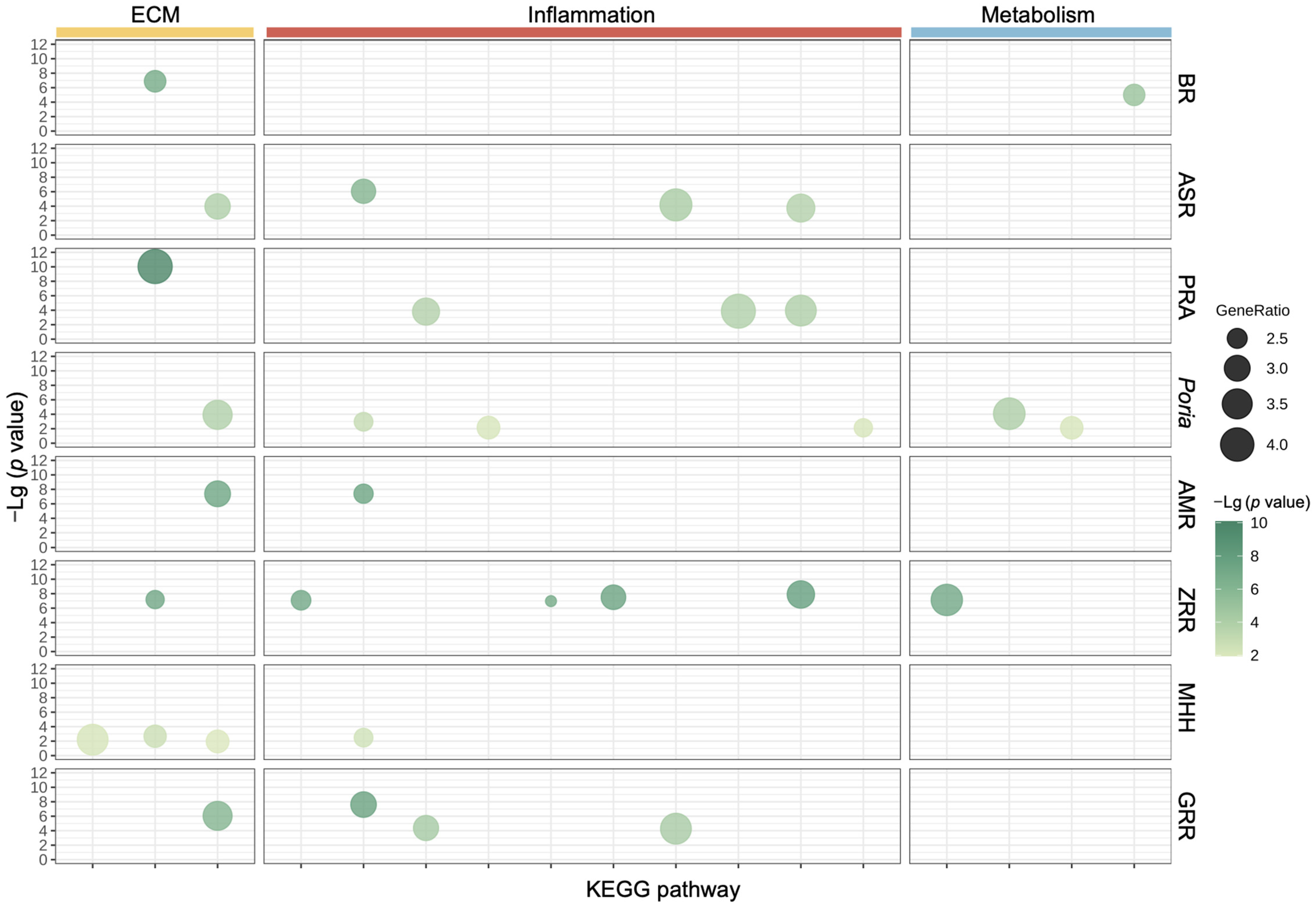 Pharmaceuticals 17 01128 g004