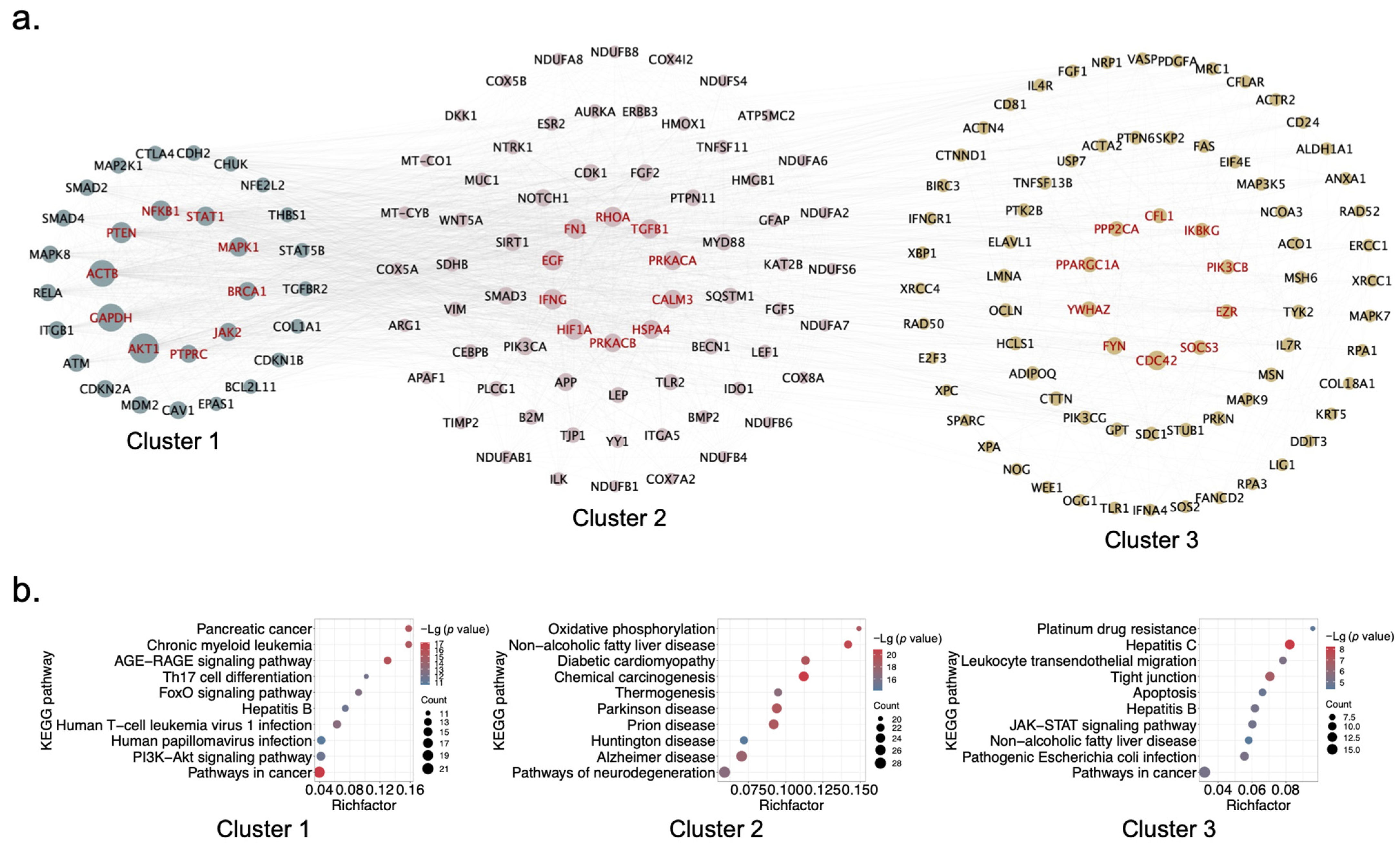 Pharmaceuticals 17 01128 g005