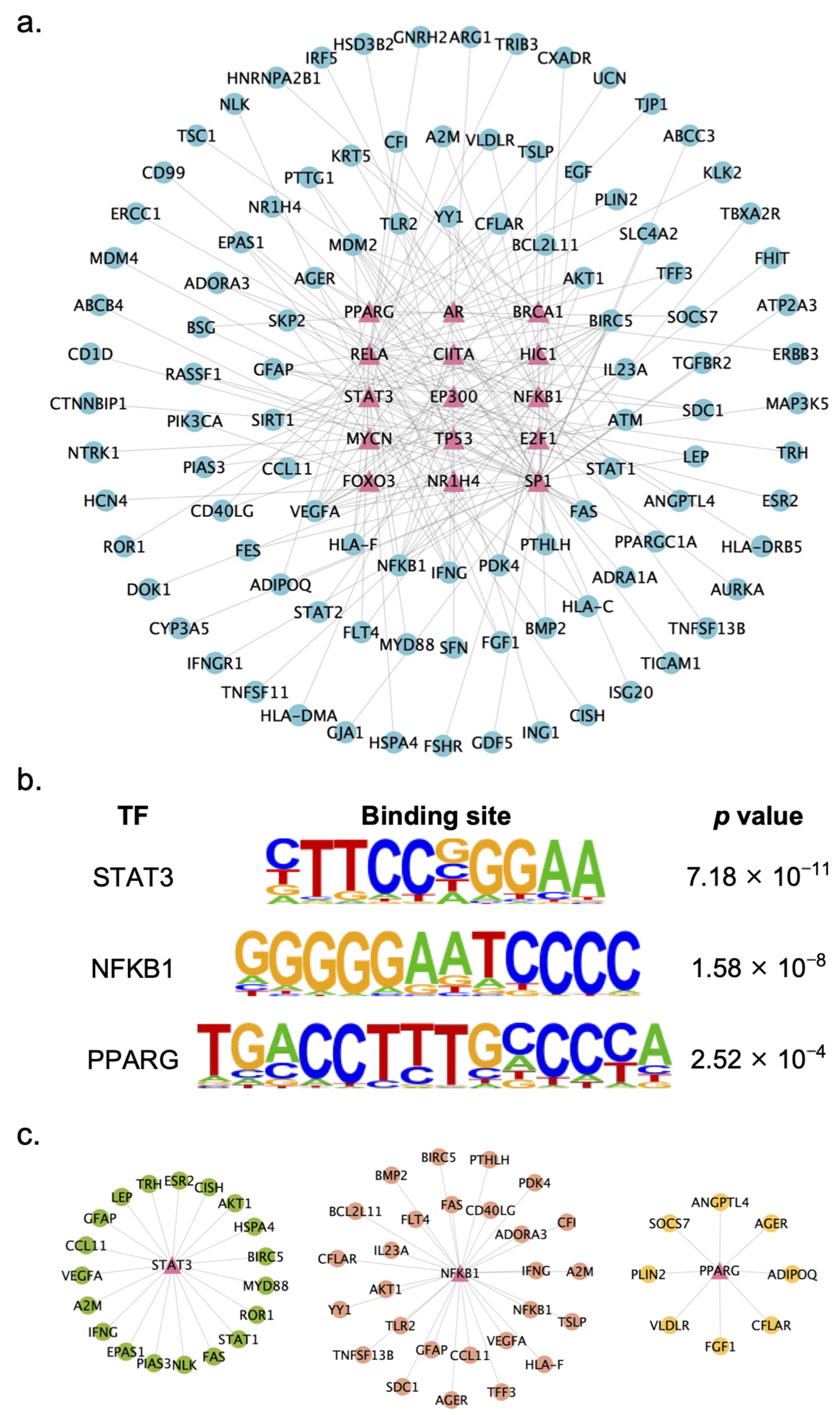 Pharmaceuticals 17 01128 g006