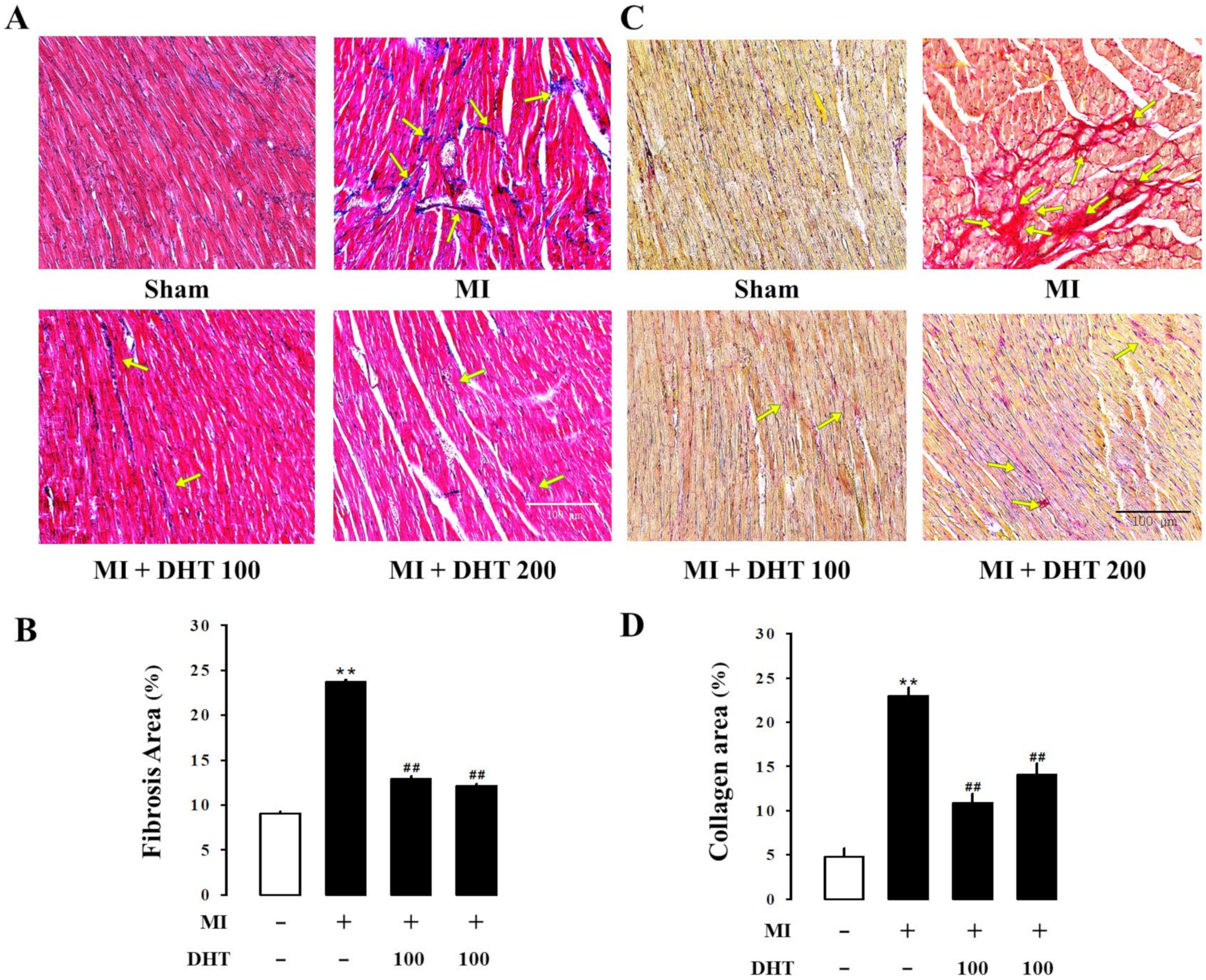 Pharmaceuticals 17 01132 g005
