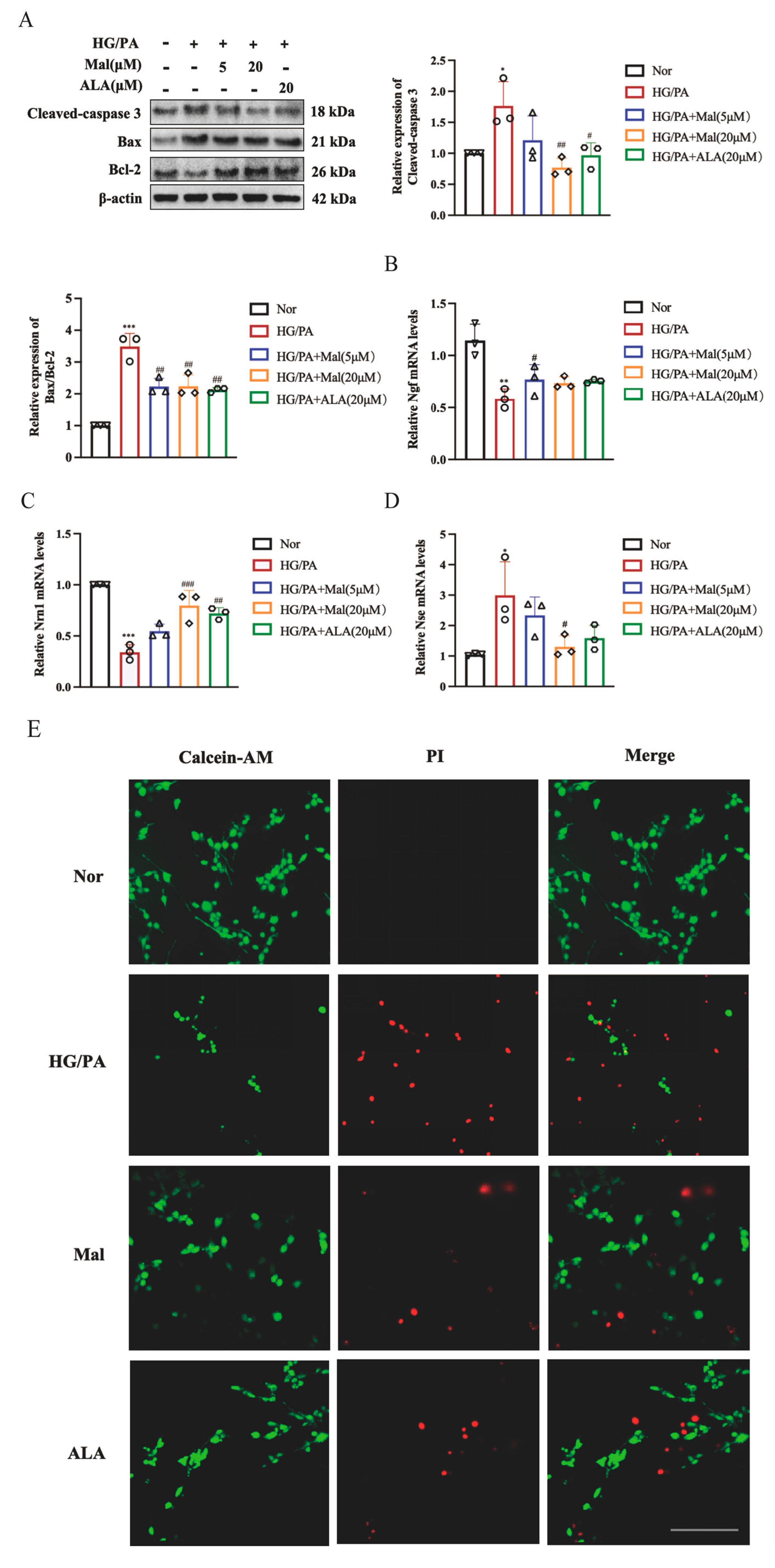 Pharmaceuticals 17 01139 g004