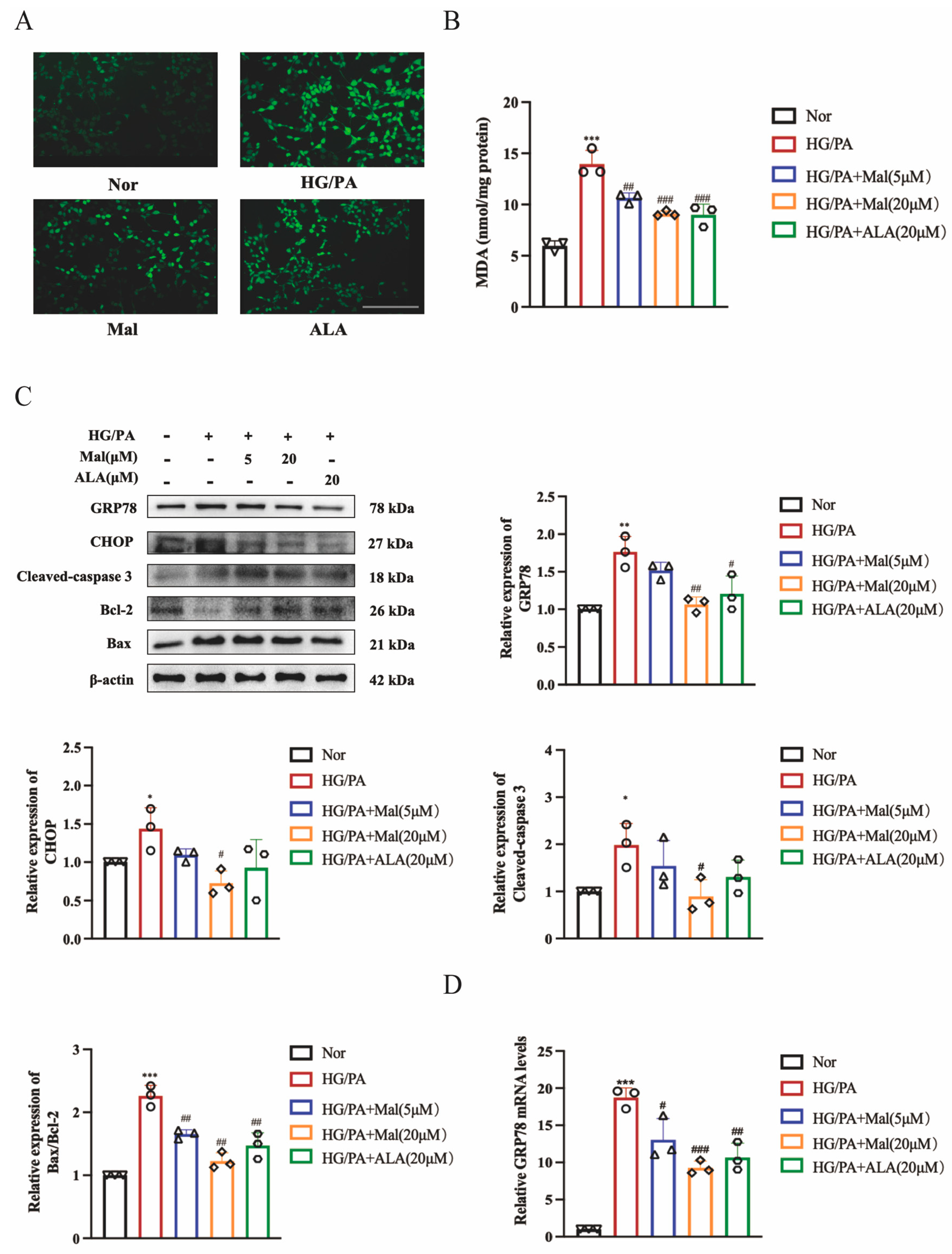 Pharmaceuticals 17 01139 g006a