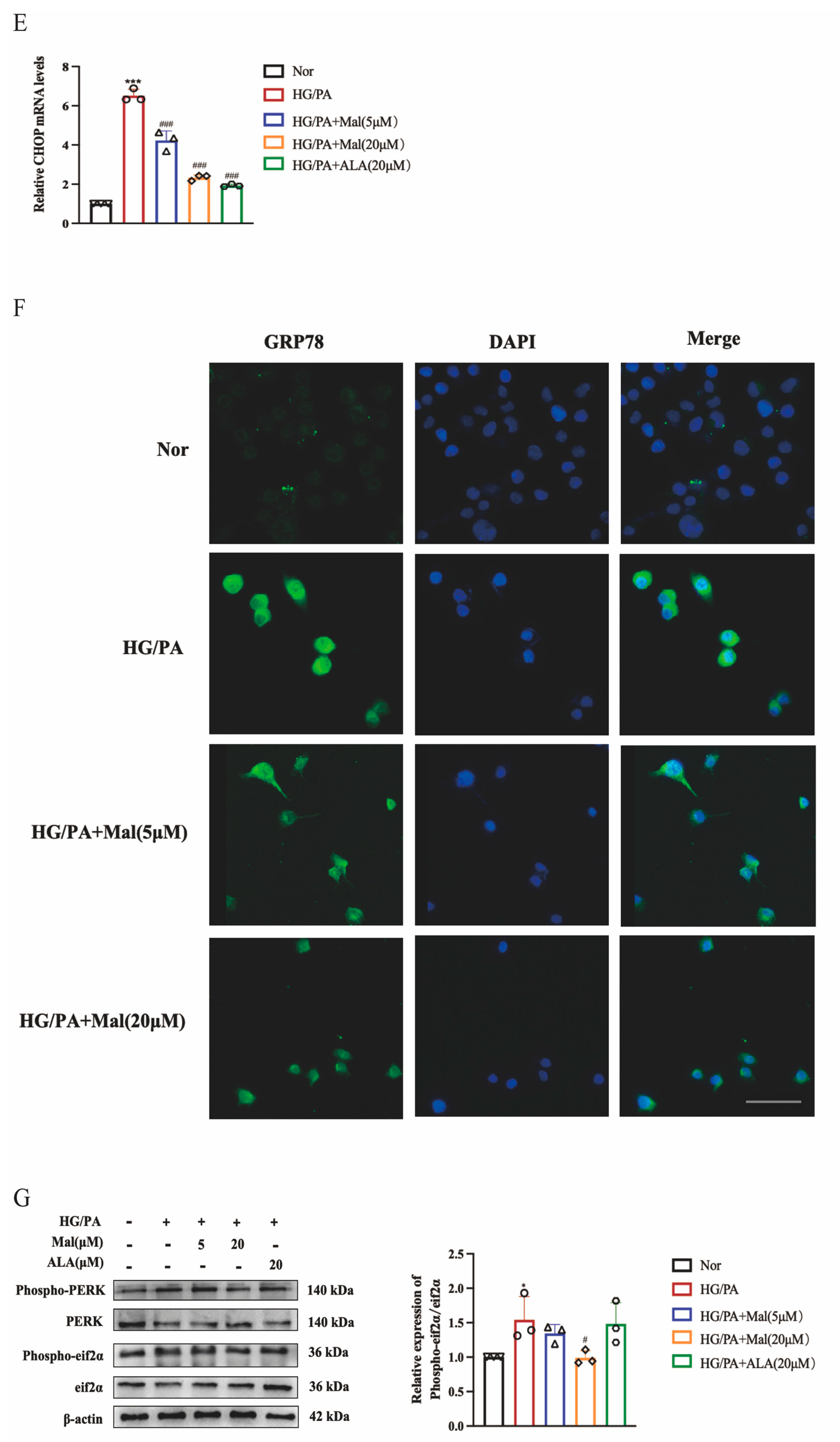 Pharmaceuticals 17 01139 g006b