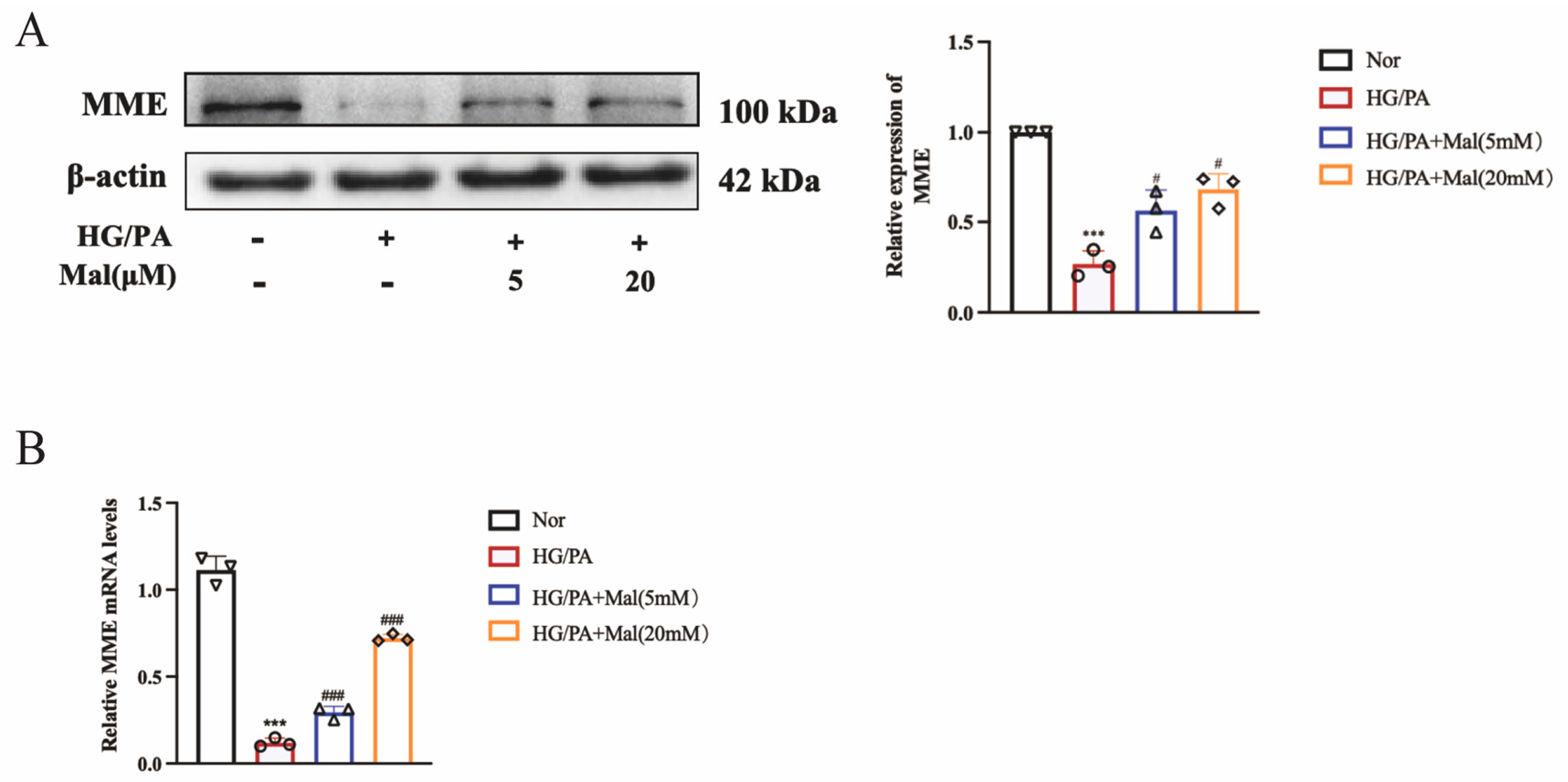 Pharmaceuticals 17 01139 g008a