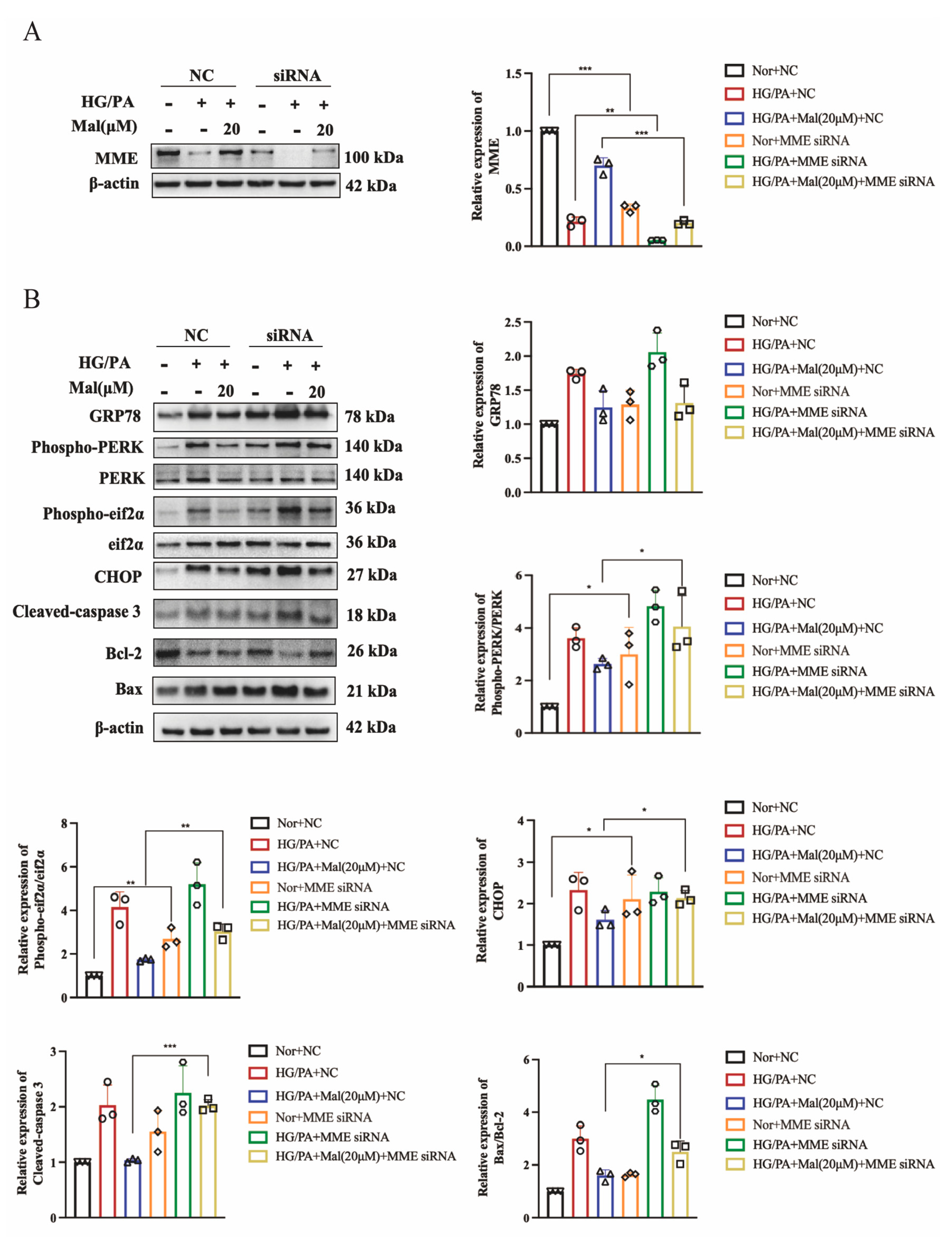 Pharmaceuticals 17 01139 g009a