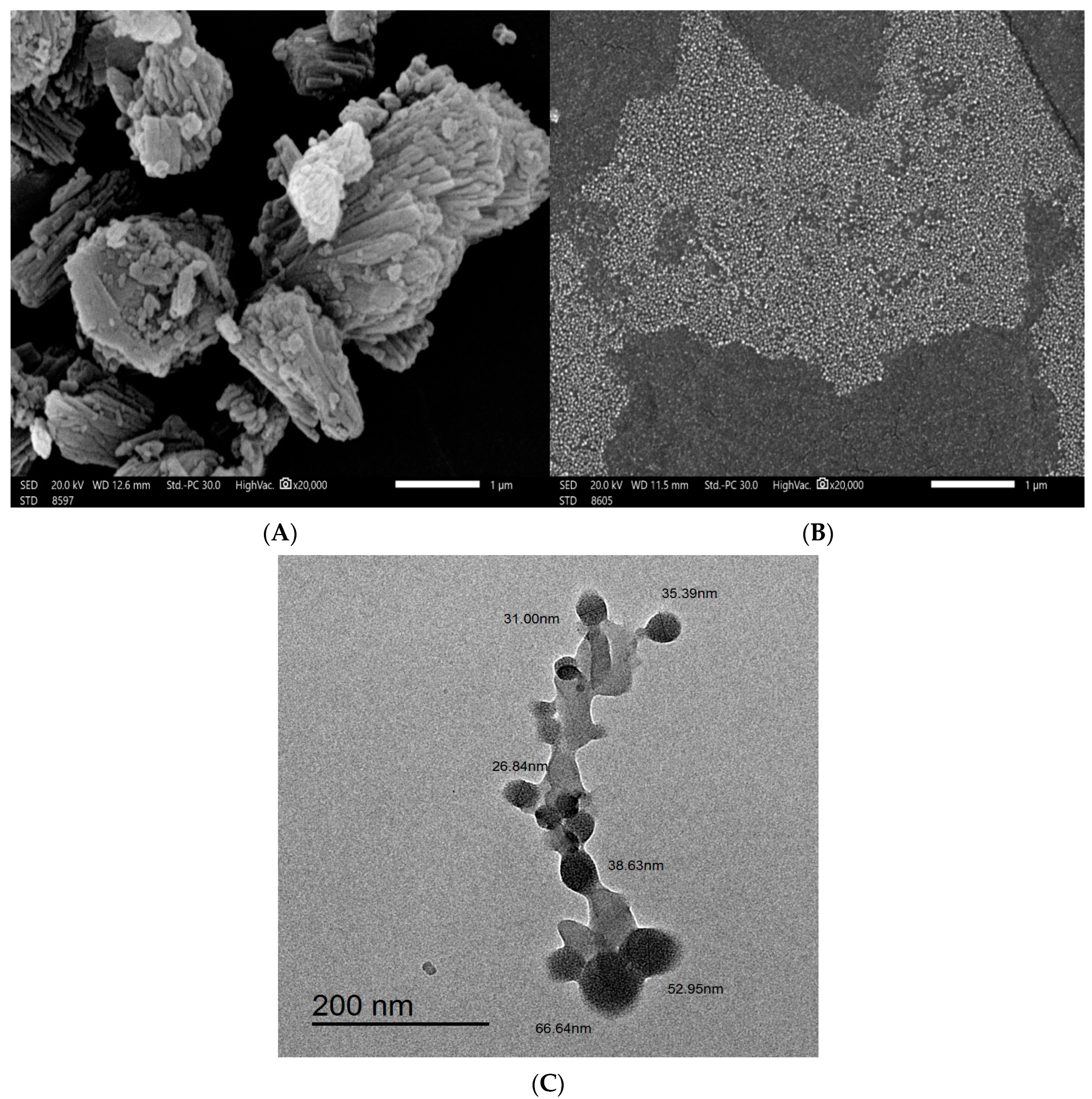 Pharmaceuticals 17 01144 g002
